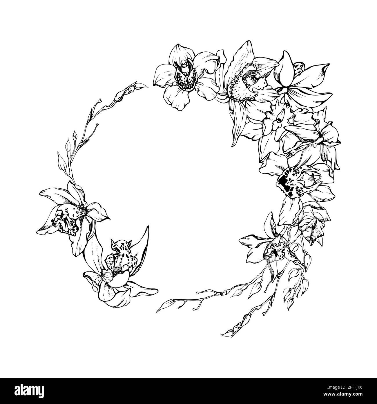 Fleurs et branches d'orchidées à encre vectorielle dessinées à la main, monochrome, contour détaillé. Composition de couronne circulaire. Isolé sur fond blanc. Conception pour Illustration de Vecteur
