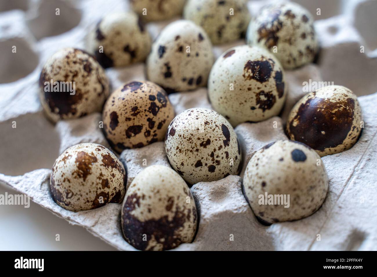 Œufs de caille tachetée dans une boîte à œufs sur fond clair, produits naturels écologiques. Banque D'Images