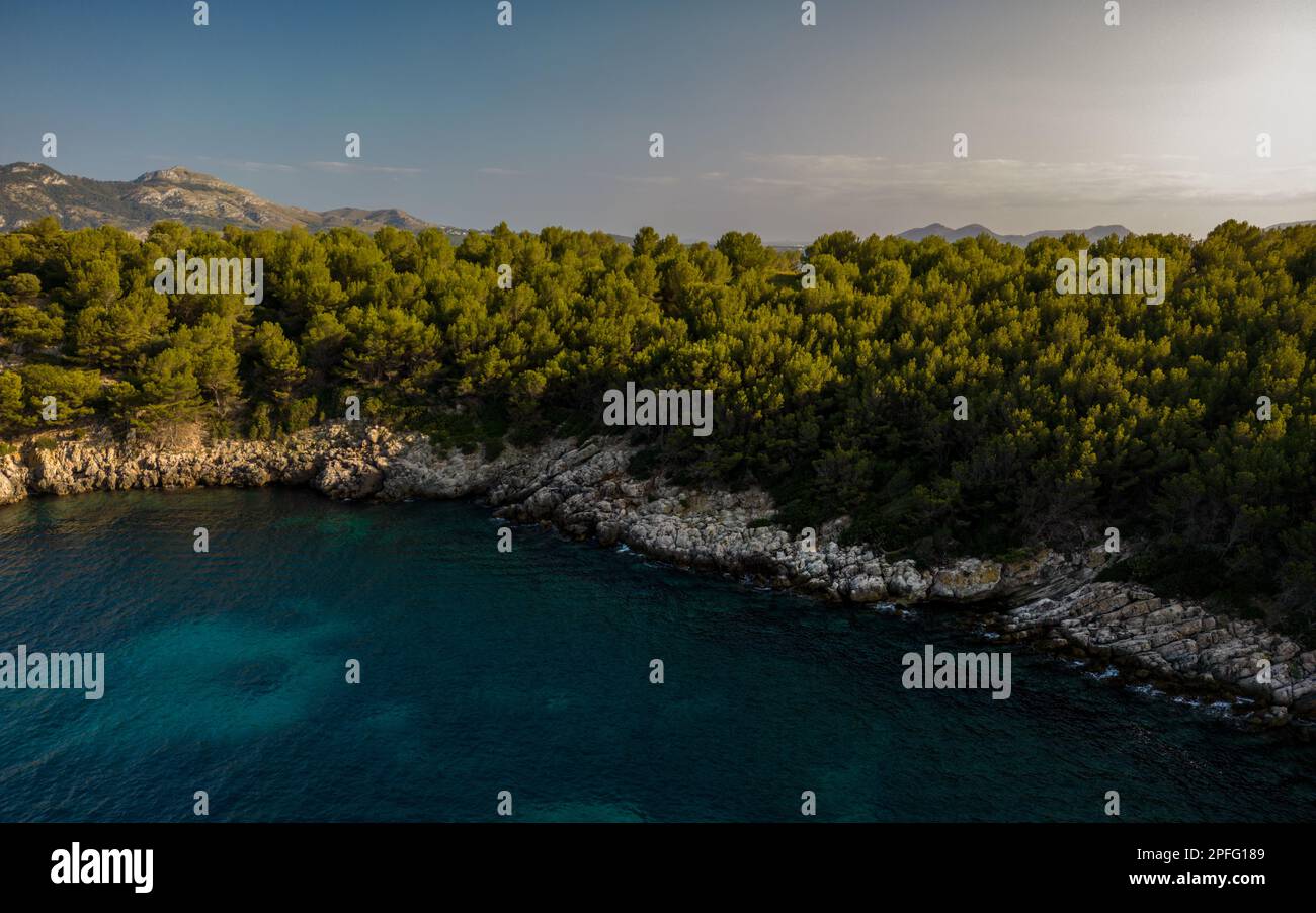 Une île tropicale isolée entourée d'arbres verts luxuriants et d'eaux bleues cristallines Banque D'Images