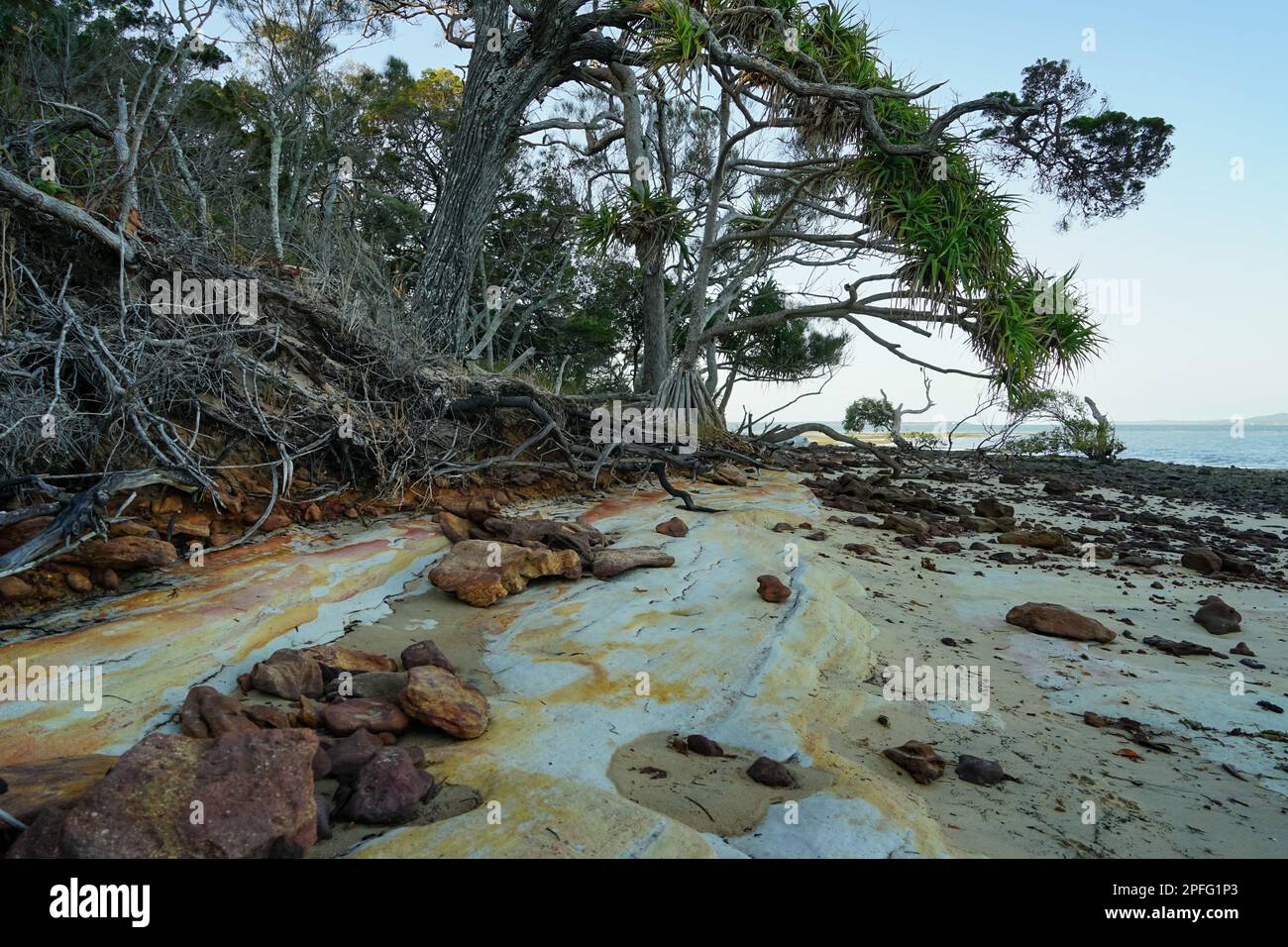 Vues vers le nord le long de Norfolk Beach sur l'île Coochiemudlo montrant les effets de l'érosion des plages Banque D'Images