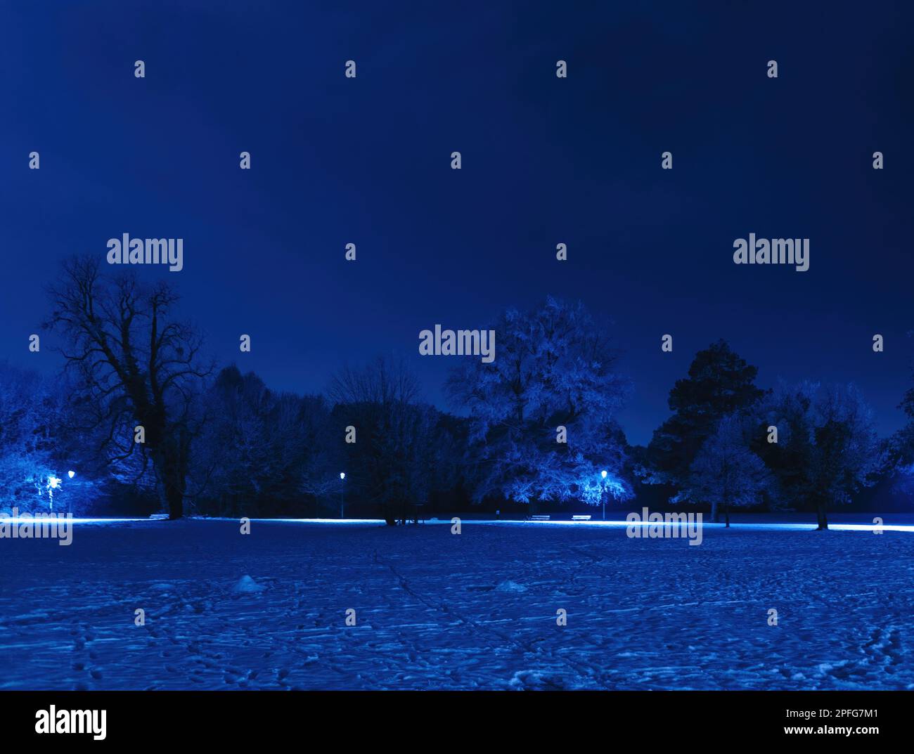 À mesure que la nuit tombe, une forêt hivernante est illuminée par le ciel qui s