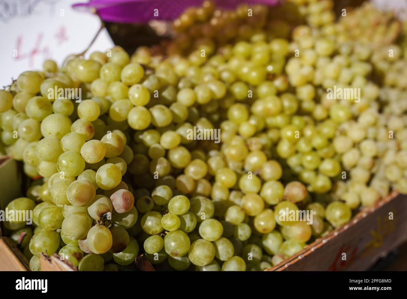 Le soleil brille sur un tas de raisins verts ou blancs exposés sur le marché de la rue Banque D'Images