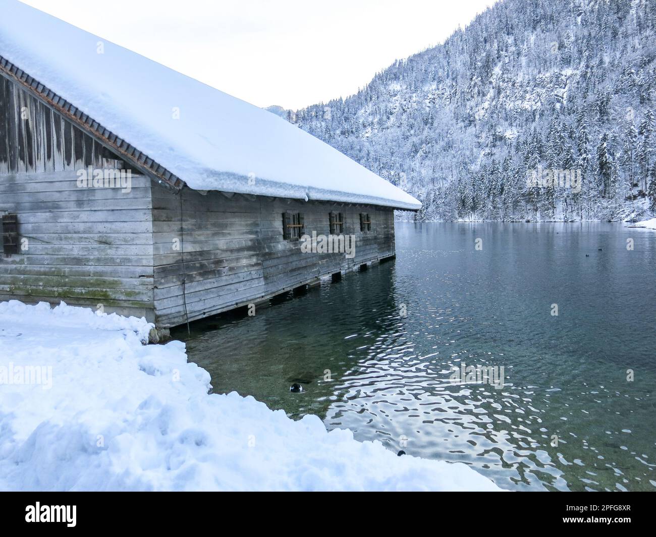 l'hiver en bavière königsee Banque D'Images