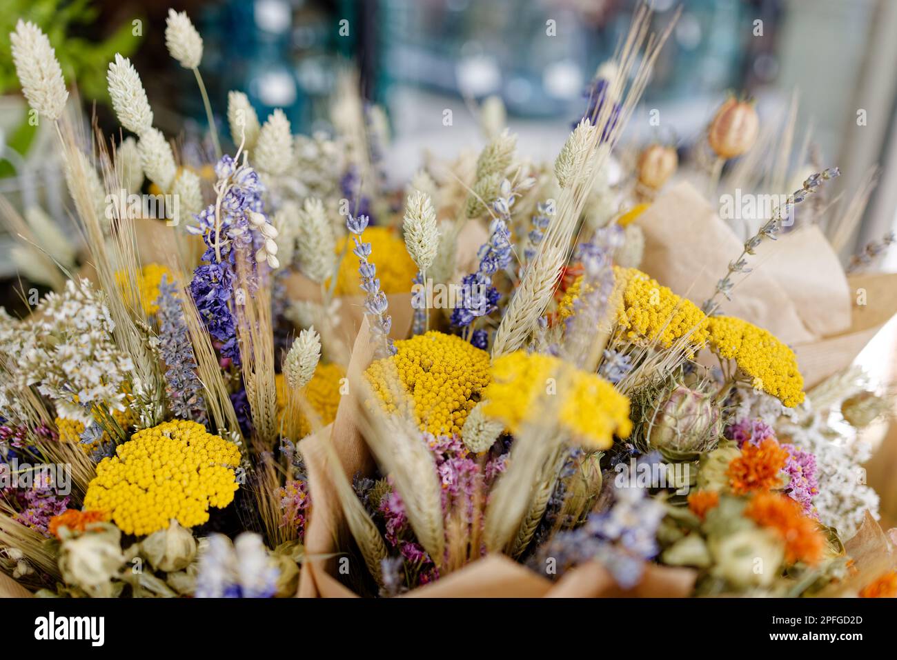 Bouquets colorés de fleurs séchées Banque D'Images