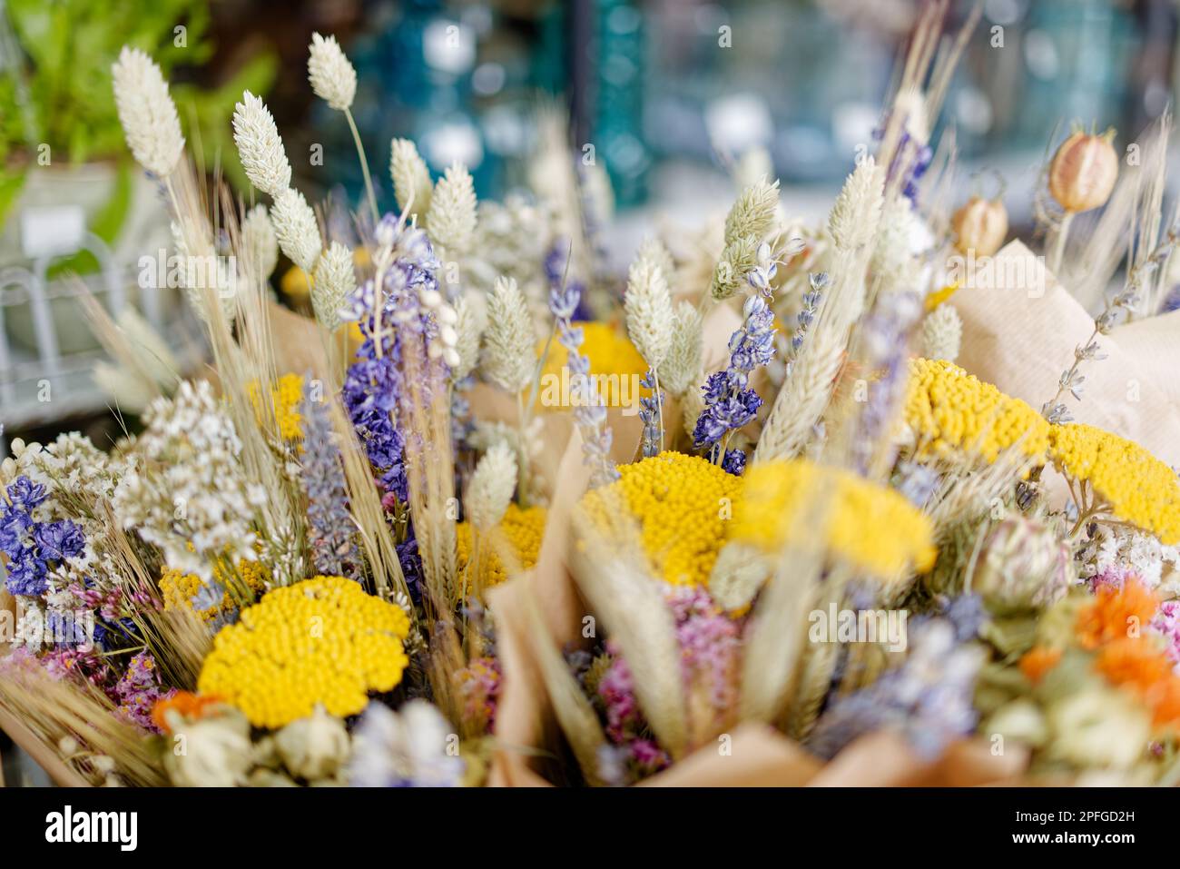 Bouquets colorés de fleurs séchées Banque D'Images