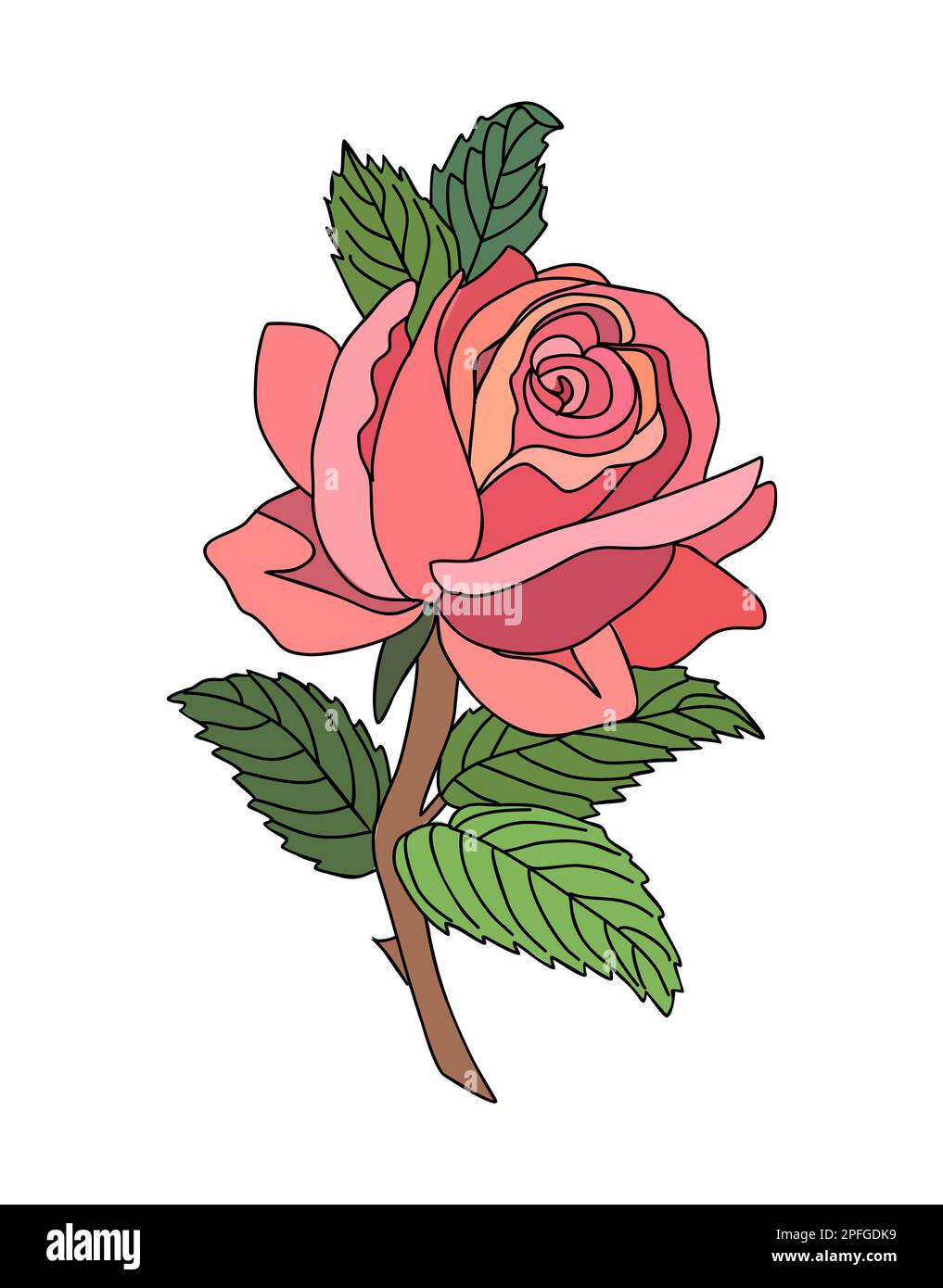 Rose juin naissance mois fleur vecteur coloré. Illustration de Vecteur