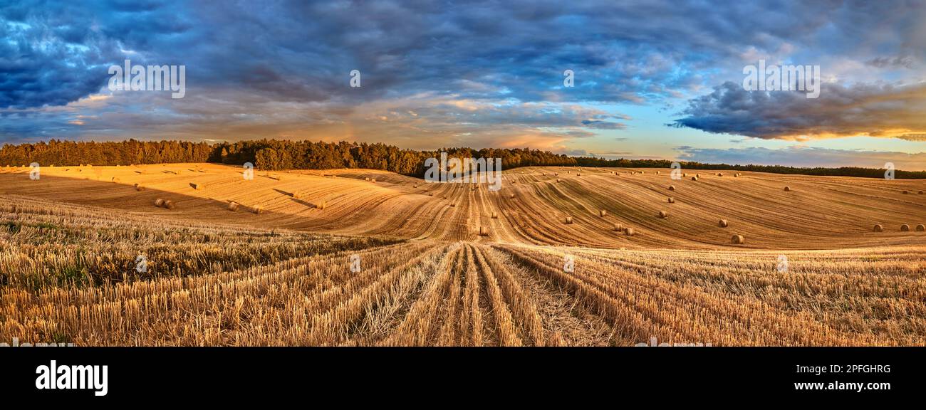 Panorama d'un beau champ fauchée avec des balles de paille illuminées par le soleil couchant avec un ciel coloré Banque D'Images