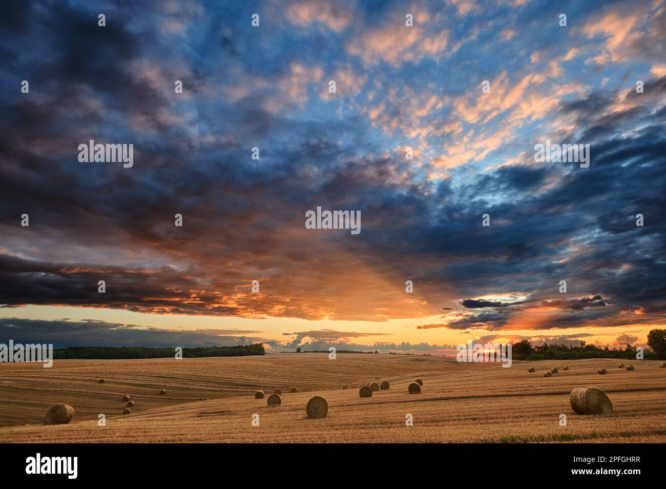 Chaume dans un champ avec des balles sous un ciel spectaculaire avec des nuages à travers lesquels les rayons du soleil brillent Banque D'Images