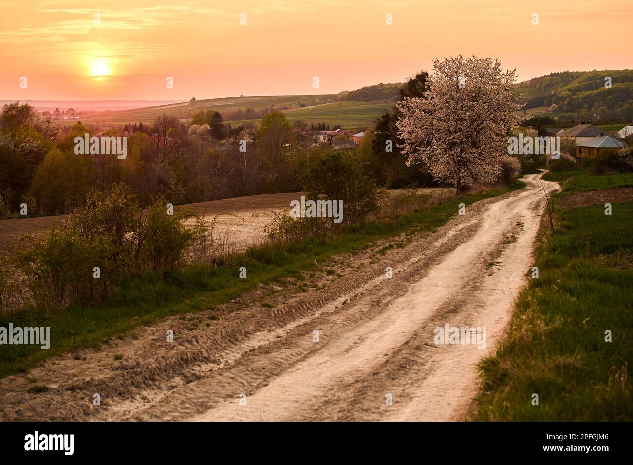 Route de terre menant au village de Kryniczki au coucher du soleil Banque D'Images