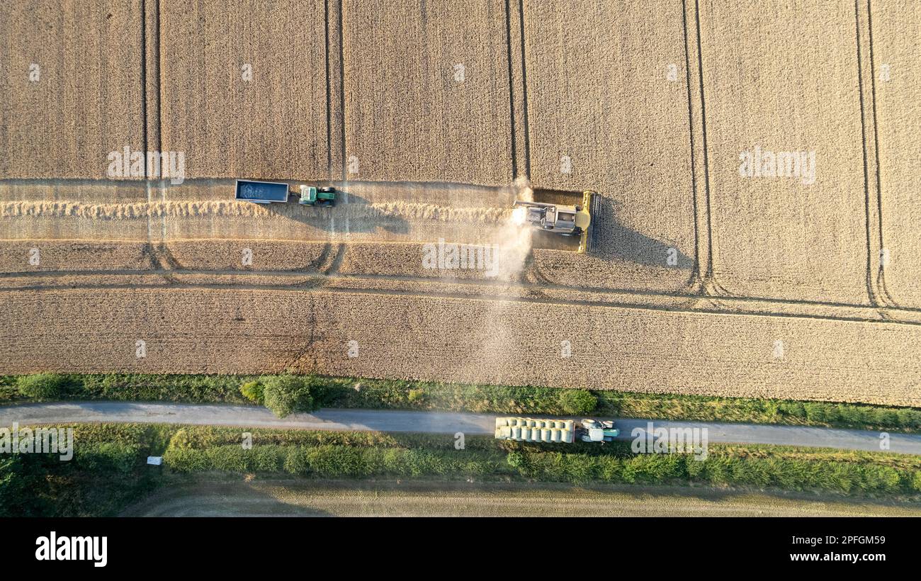 Récolte d'un champ de blé dans le Nord du Yorkshire lors d'une soirée d'été. ROYAUME-UNI. Banque D'Images
