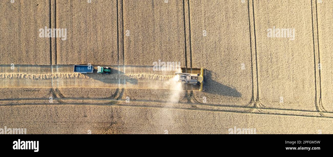 Récolte d'un champ de blé dans le Nord du Yorkshire lors d'une soirée d'été. ROYAUME-UNI. Banque D'Images