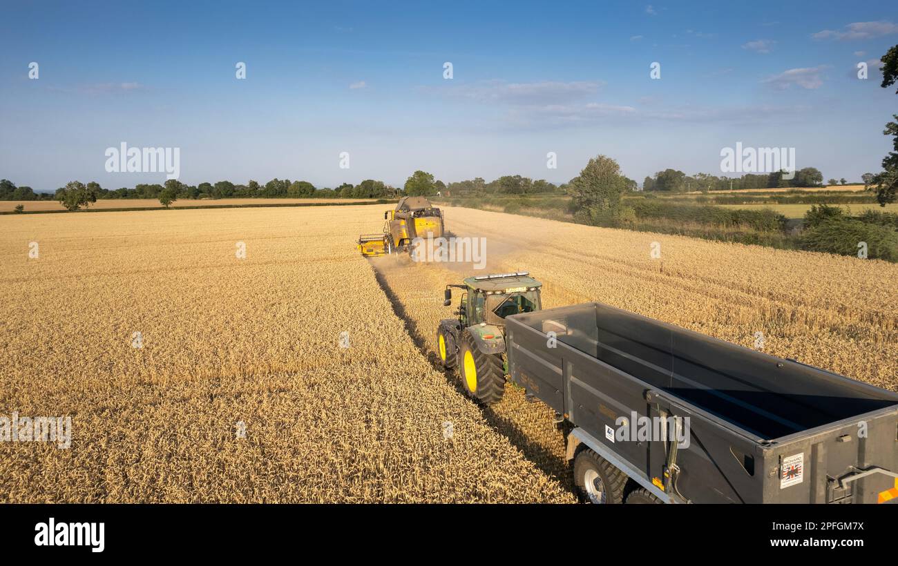 Récolte d'un champ de blé dans le Nord du Yorkshire lors d'une soirée d'été. ROYAUME-UNI. Banque D'Images