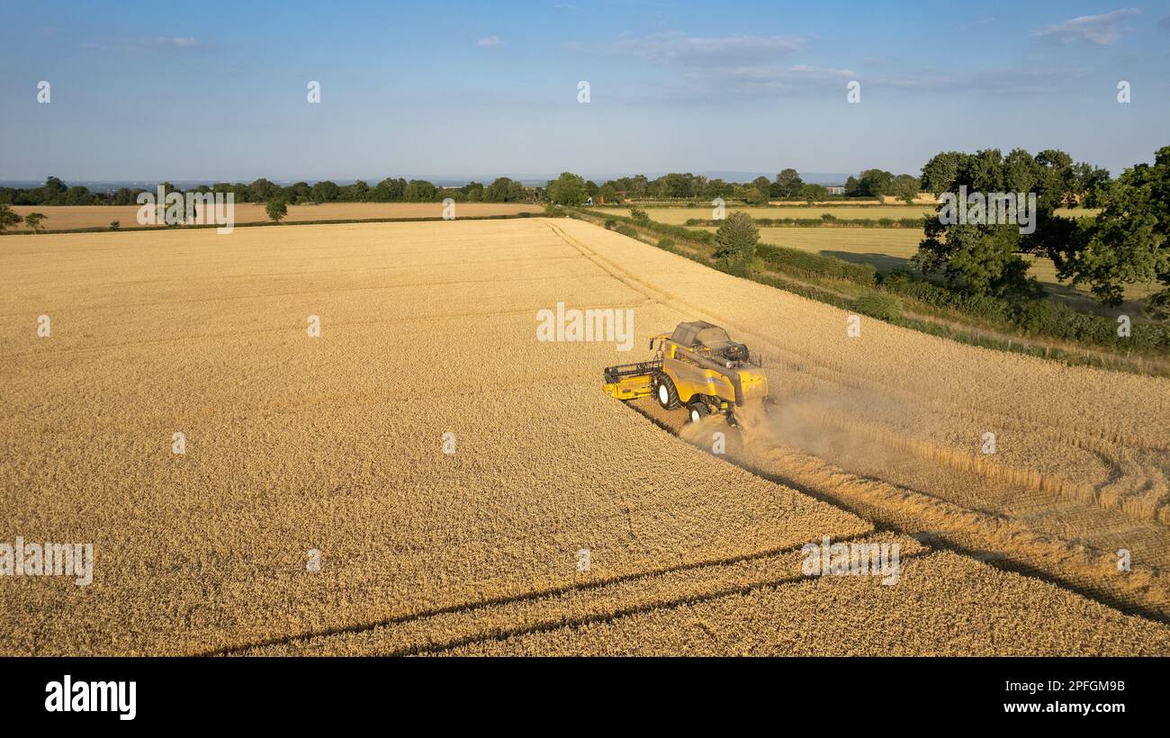 Récolte d'un champ de blé dans le Nord du Yorkshire lors d'une soirée d'été. ROYAUME-UNI. Banque D'Images