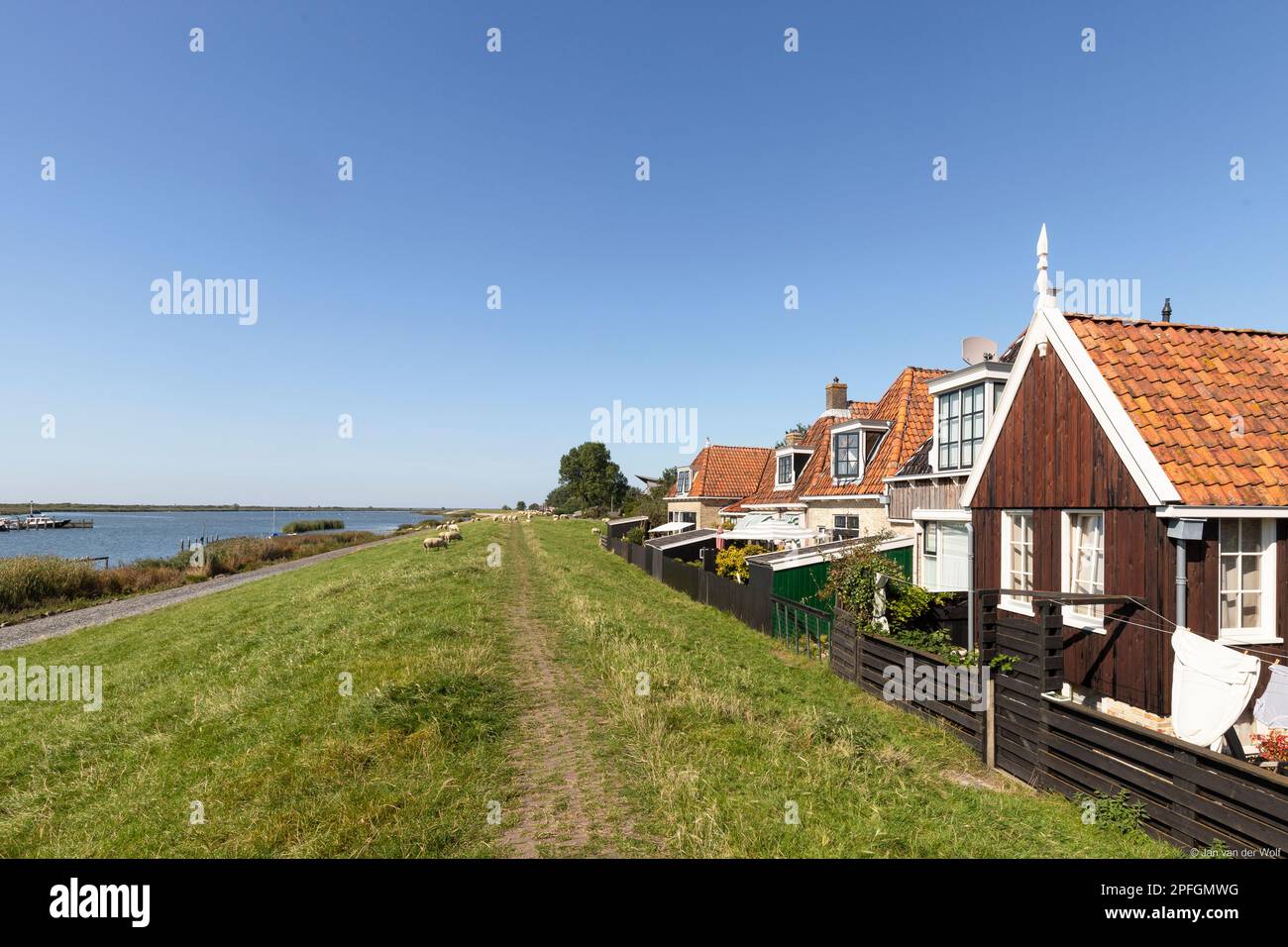 Maisons de digues et pâturages de moutons sur le remblai du pittoresque village de pêcheurs de Makkum aux pays-Bas. Banque D'Images