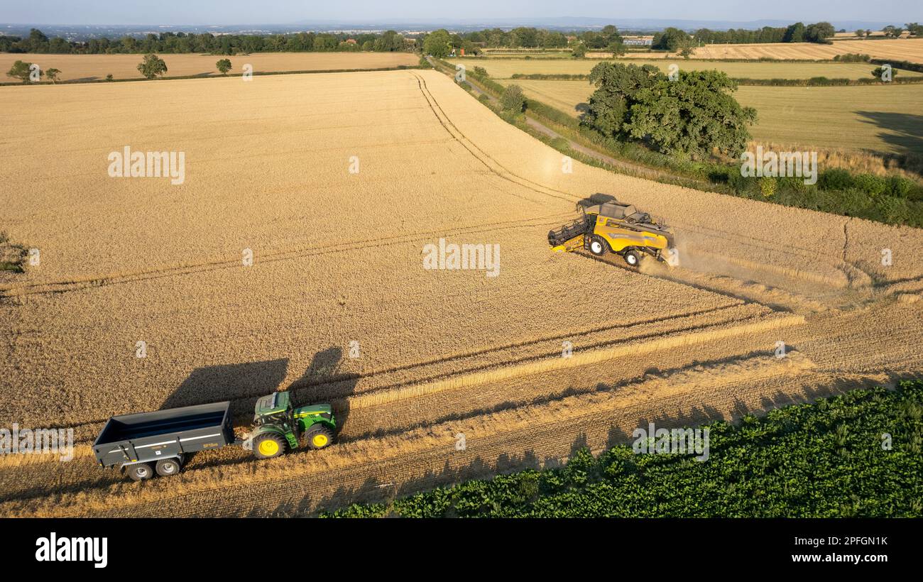 Récolte d'un champ de blé dans le Nord du Yorkshire lors d'une soirée d'été. ROYAUME-UNI. Banque D'Images