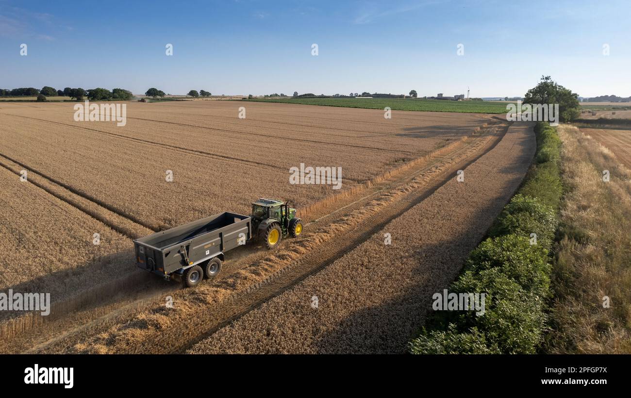 Récolte d'un champ de blé dans le Nord du Yorkshire lors d'une soirée d'été. ROYAUME-UNI. Banque D'Images