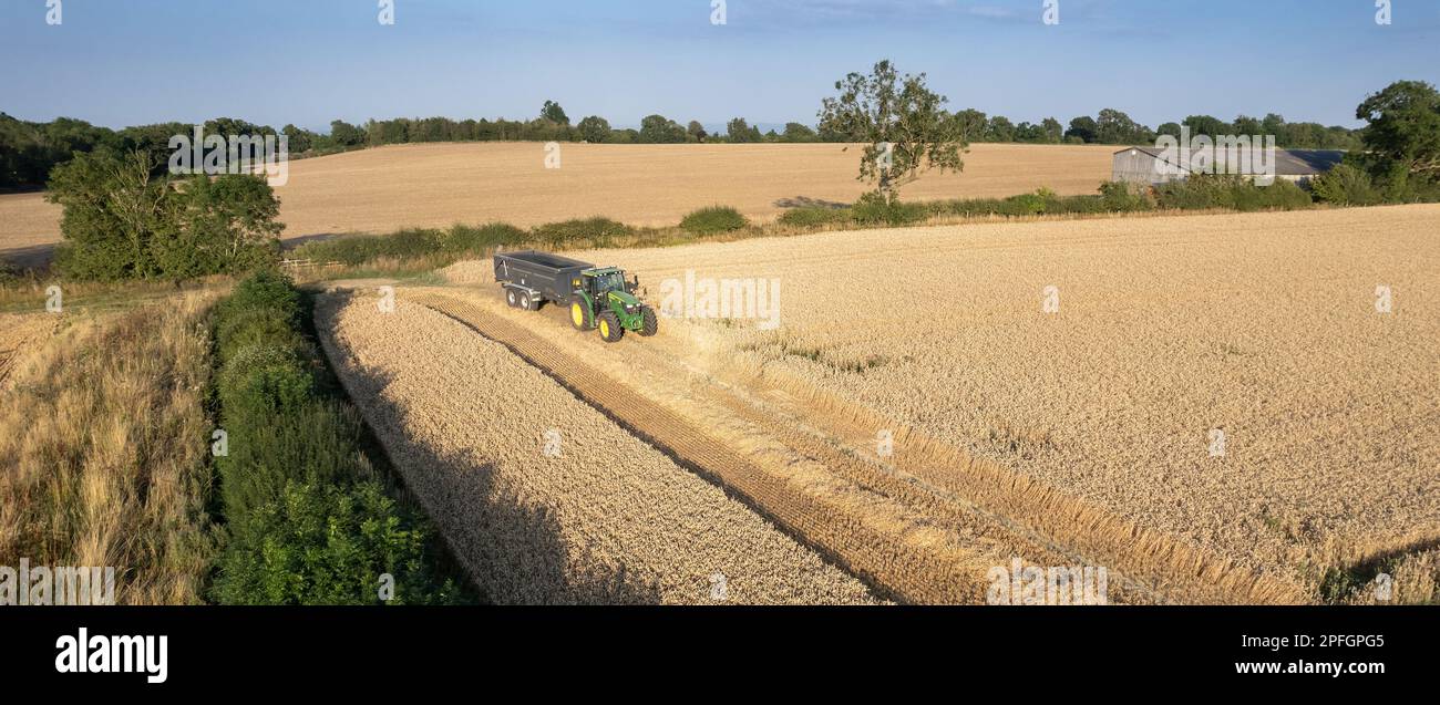 Récolte d'un champ de blé dans le Nord du Yorkshire lors d'une soirée d'été. ROYAUME-UNI. Banque D'Images