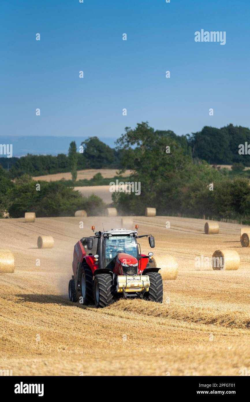 Pressage de paille en balles rondes avec un tracteur Massey Ferguson 7726 et une presse à balles RB4160v. La paille sera utilisée pour la litière des animaux. North Yorkshire, Royaume-Uni. Banque D'Images