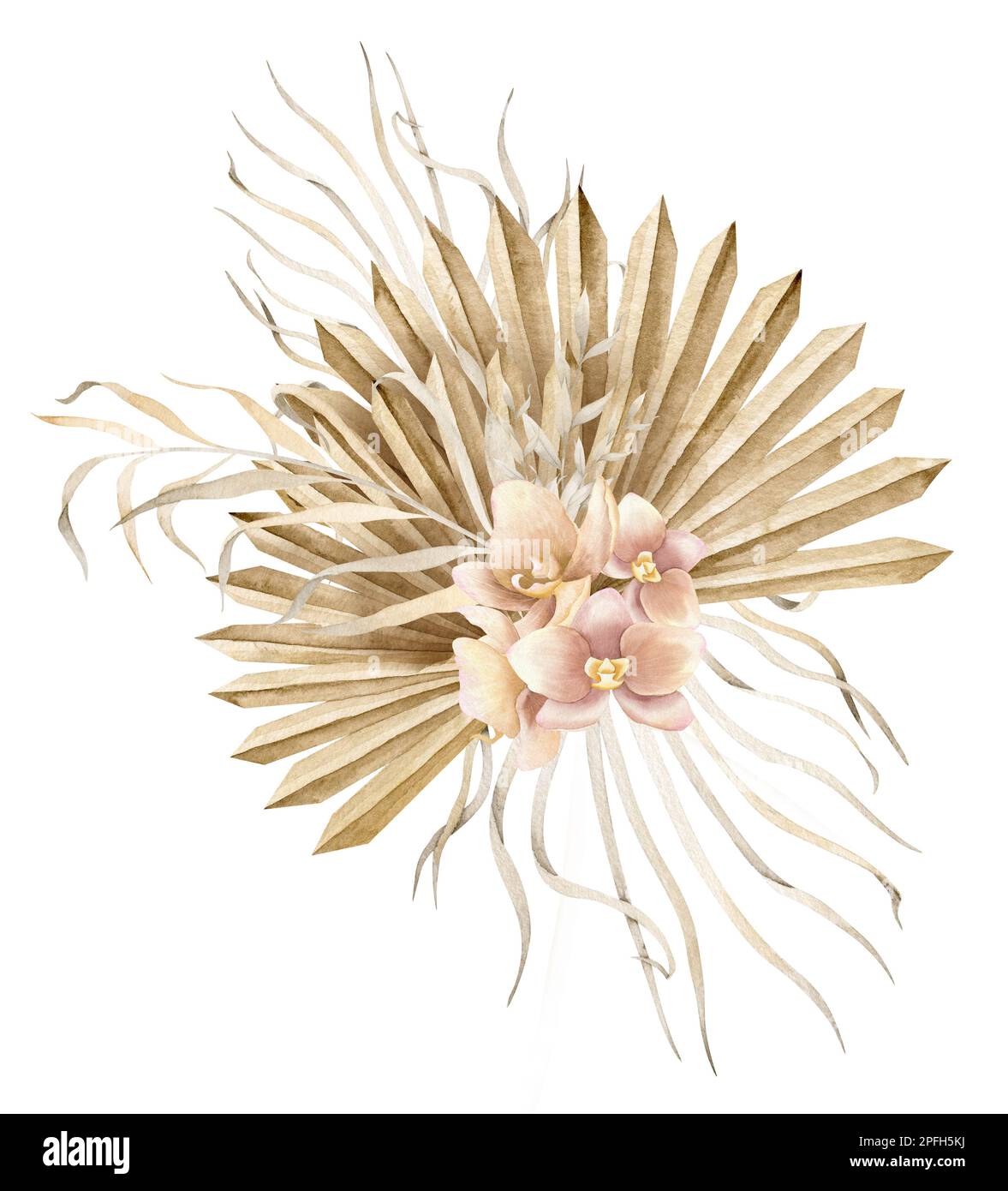 Fleurs séchées de style boho. Illustration aquarelle dessinée à la main sur un arrière-plan isolé pour les cartes de vœux ou les invitations de mariage. Bouquet crémeux bohémien avec feuilles de palmier sèches dans d orchidées rose pâle. Banque D'Images