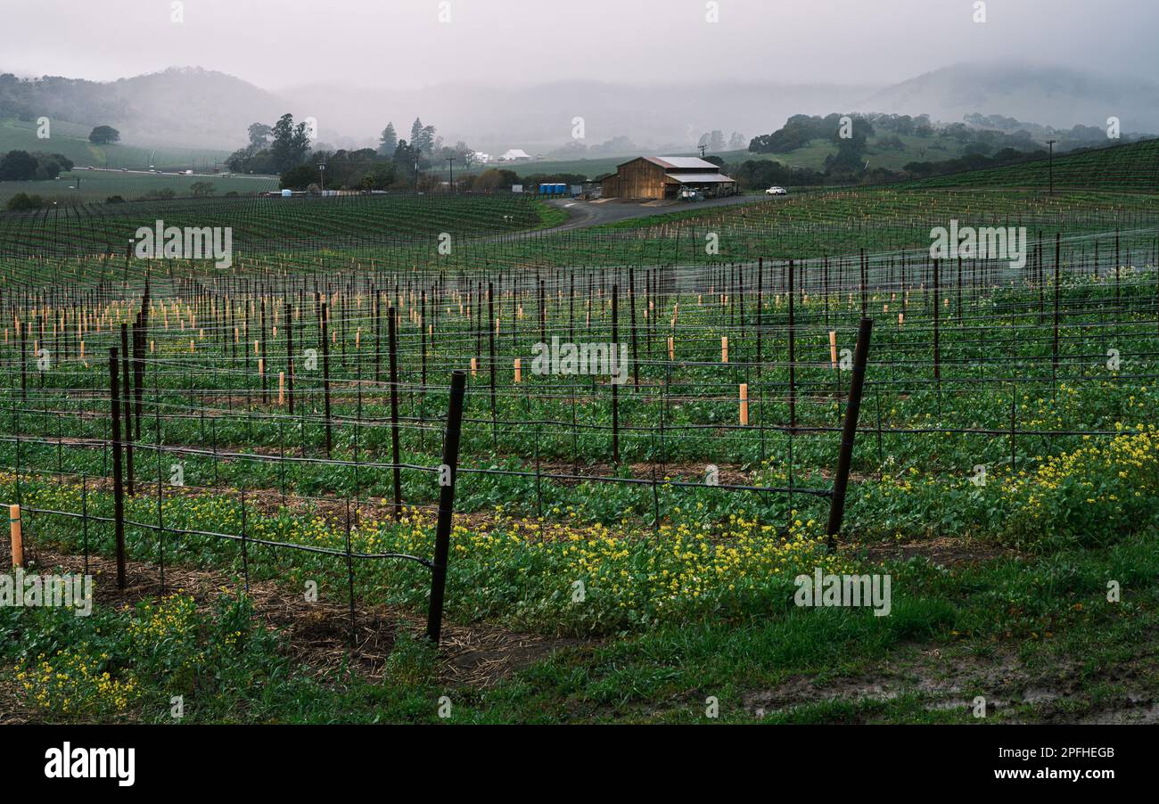 Le nouveau montage des fils et des manchons de protection commence un nouveau chapitre pour plusieurs années à venir Banque D'Images
