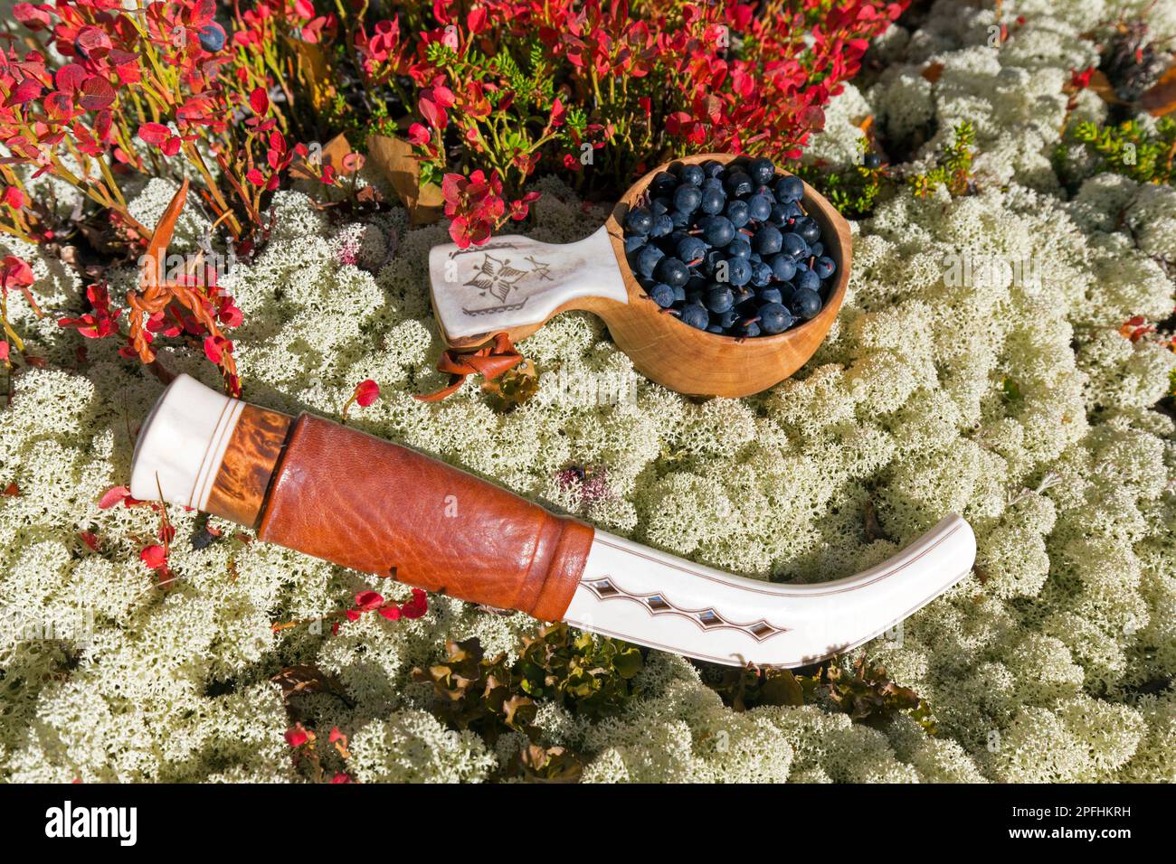 Couteau traditionnel sami et coupe scandinave, guksi en bois / kuksa / kåsa rempli de bleuets européens récoltés / myrtilles à Autum, Suède Banque D'Images