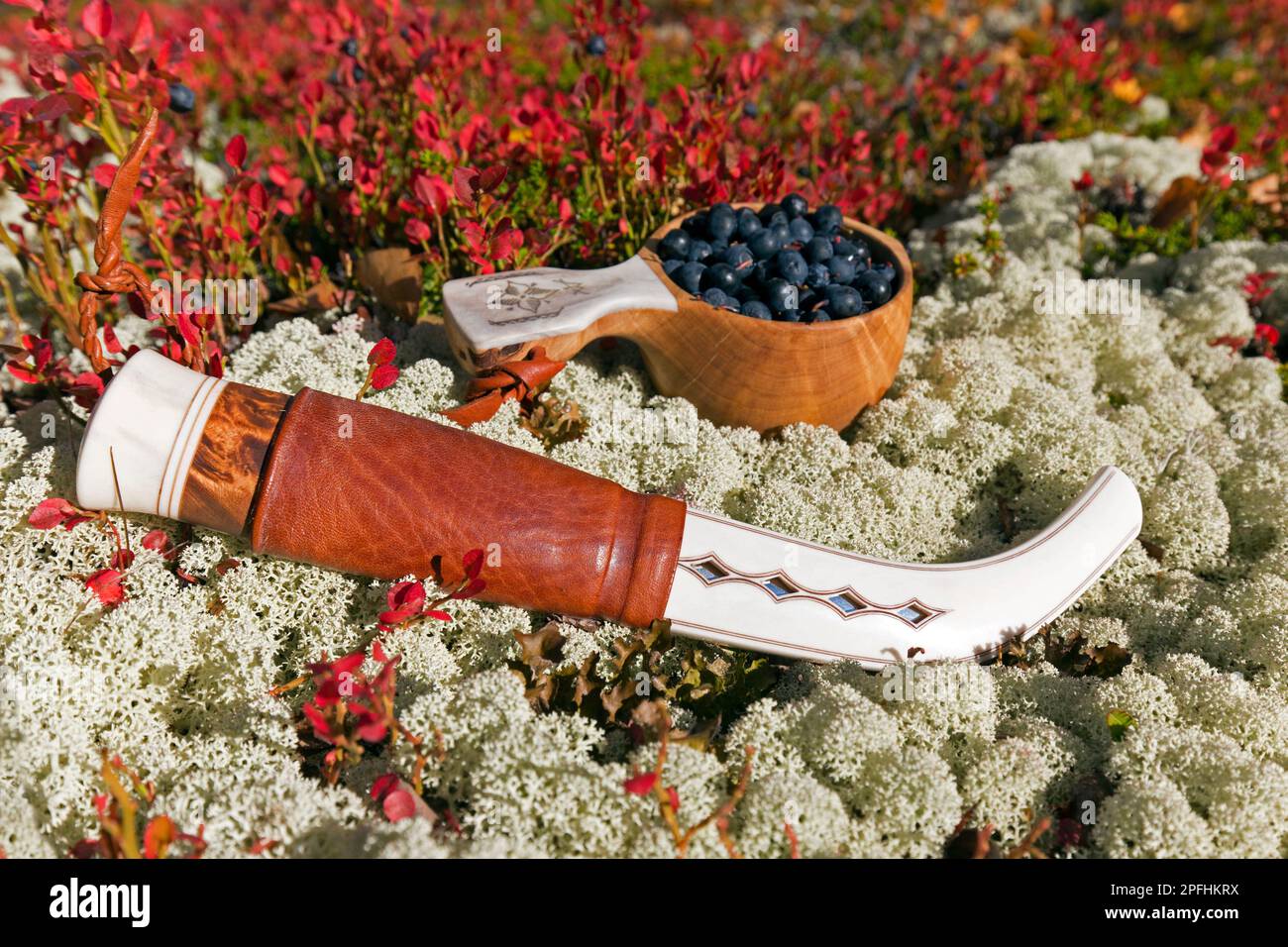 Couteau traditionnel sami et coupe scandinave, guksi en bois / kuksa / kåsa rempli de bleuets européens récoltés / myrtilles à Autum, Suède Banque D'Images