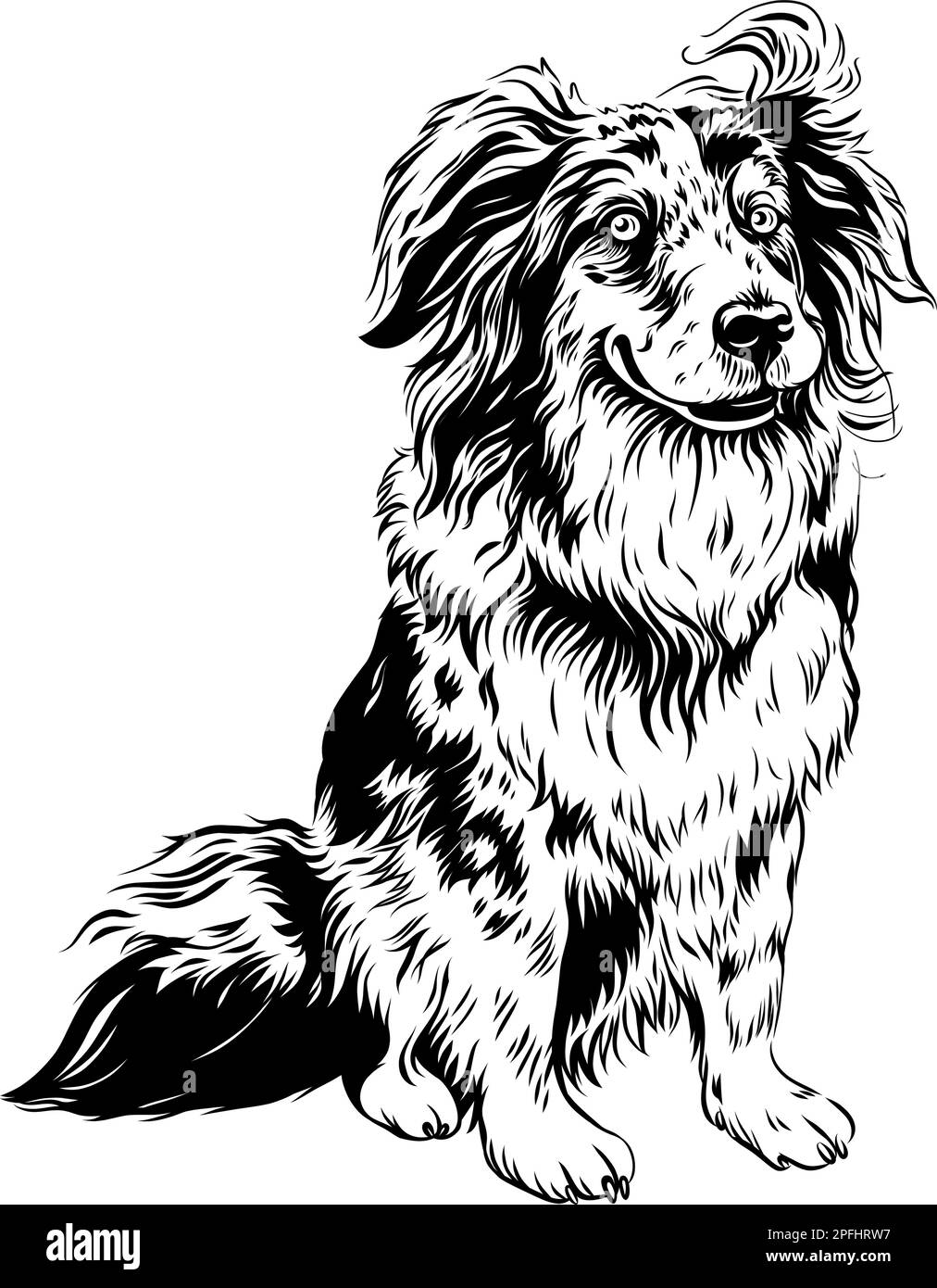 Croquis noir et blanc de chien Red Australian Shepherd Breed, Aussie ou Little Blue Dog Illustration de Vecteur