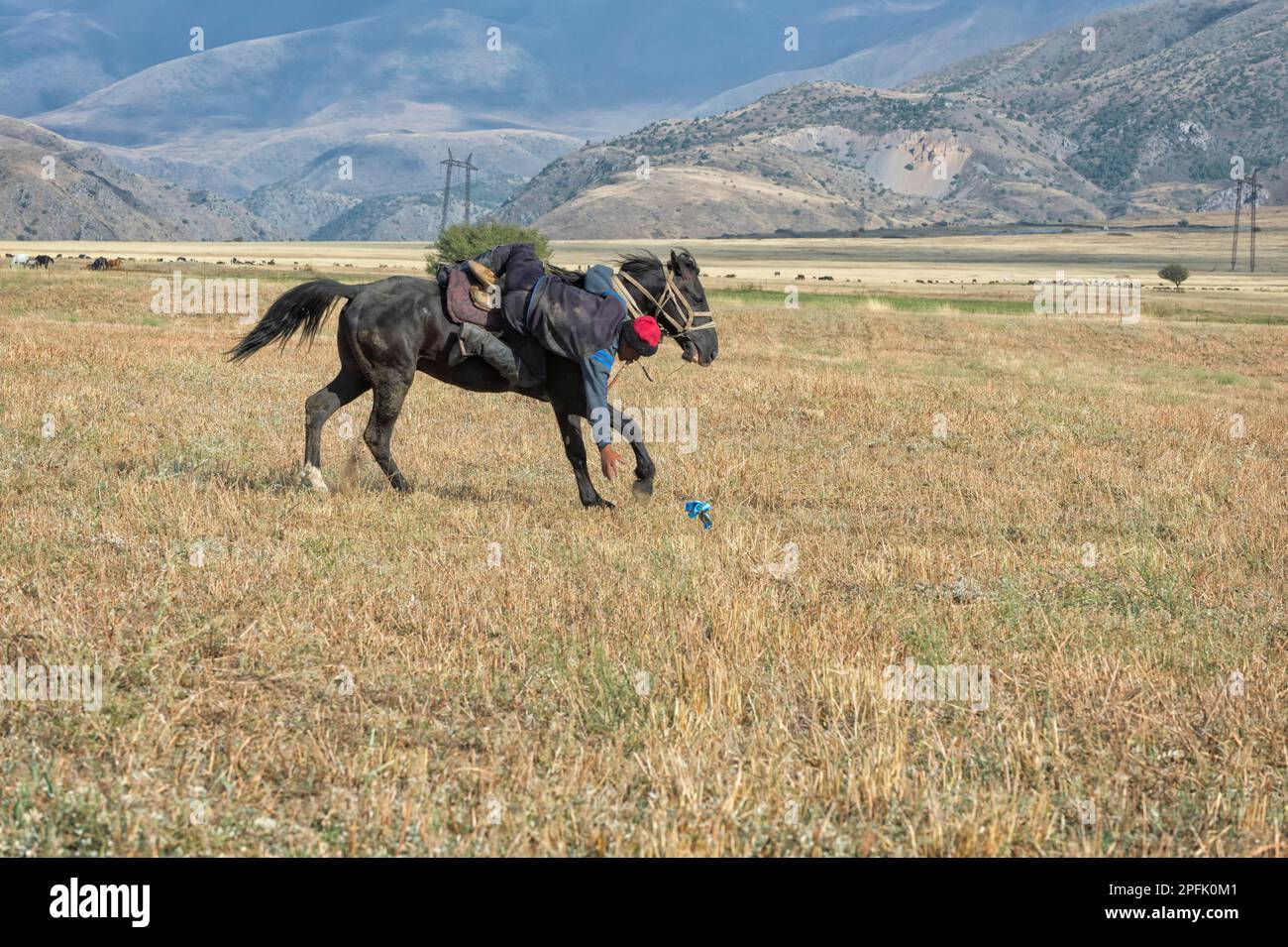 Traditionnel Kokpar ou Buzkashi à la périphérie du parc national de Gabagly, Shymkent, région sud, Kazakhstan, Asie centrale, Pour usage éditorial uniquement Banque D'Images