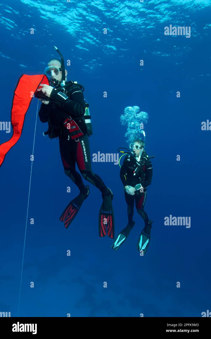 Plongeur, plongeur, exercice, mise en place de la bouée de sécurité, 2nd étage du régulateur pour donner de l'air dans la bouée de sécurité, Mer Rouge, Hurghada, Egypte Banque D'Images