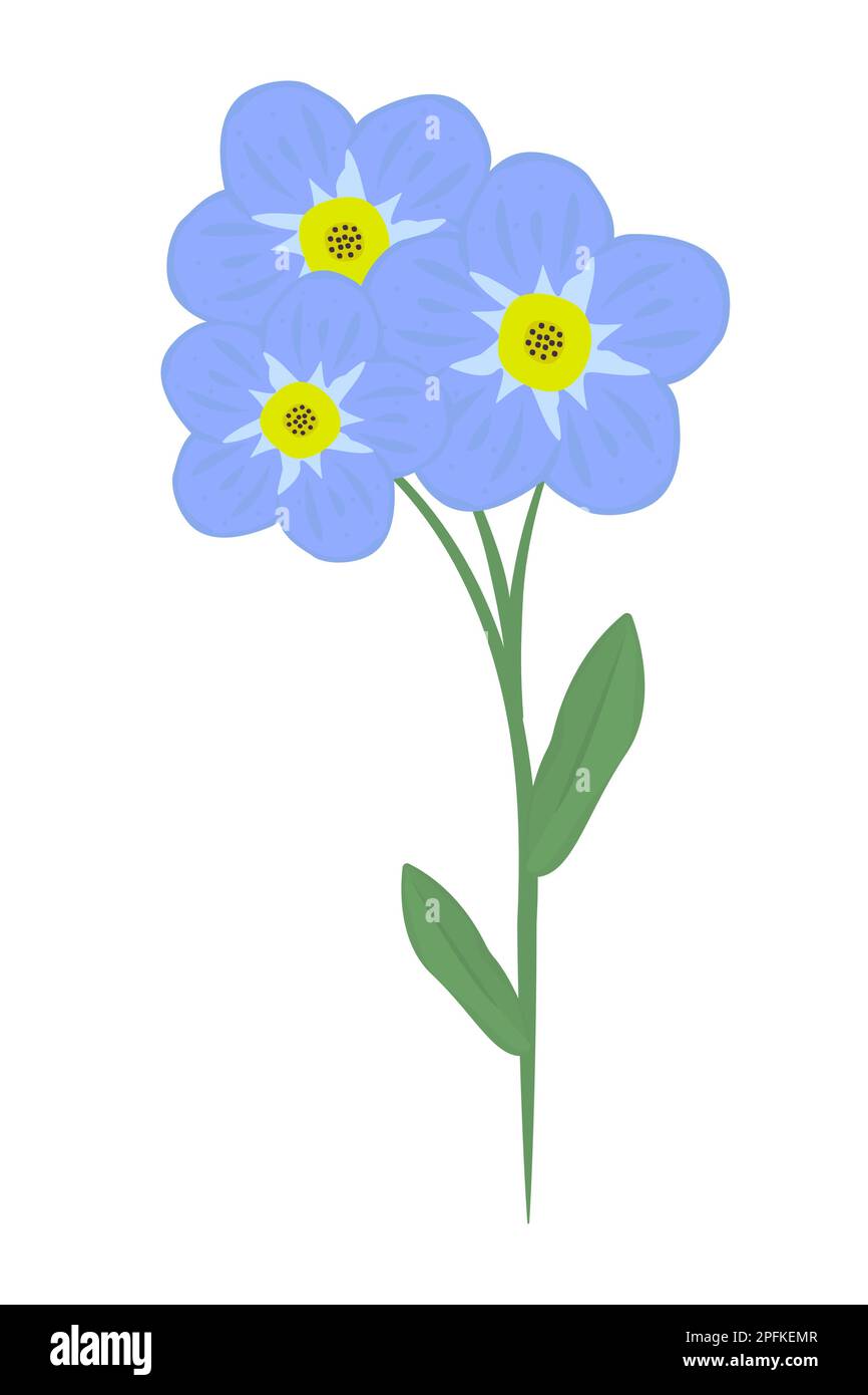 Fleur unique Forget-Me-Not, bouton bleu avec tige et feuilles Illustration de Vecteur