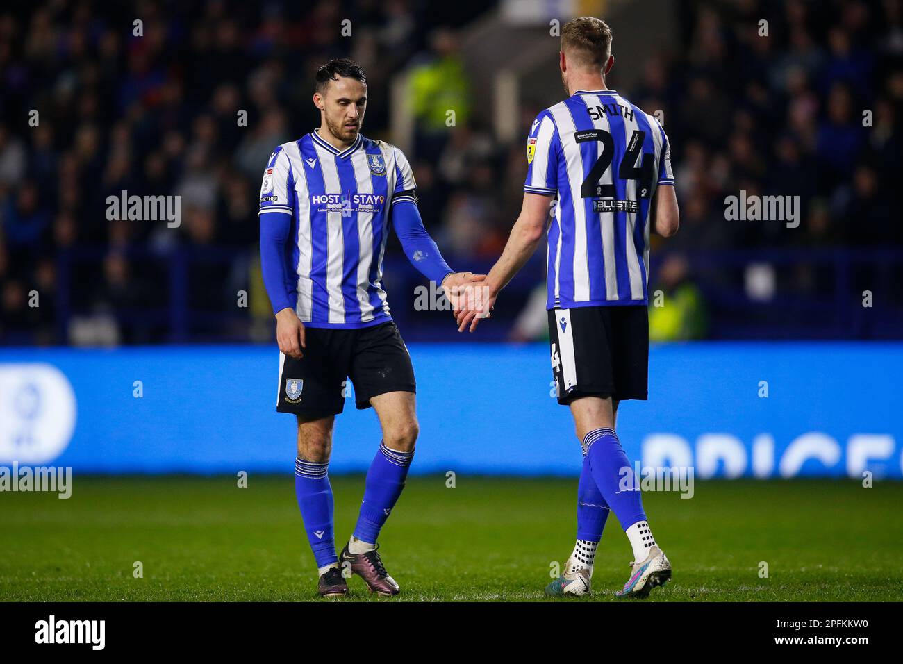 Sheffield, Royaume-Uni. 17th mars 2023. Lee Gregory #9 de Sheffield mercredi et Michael Smith #24 de Sheffield mercredi pendant le match Sky Bet League 1 Sheffield mercredi contre Bolton Wanderers à Hillsborough, Sheffield, Royaume-Uni, 17th mars 2023 (photo de Ben Early/News Images) crédit: News Images LTD/Alay Live News Banque D'Images