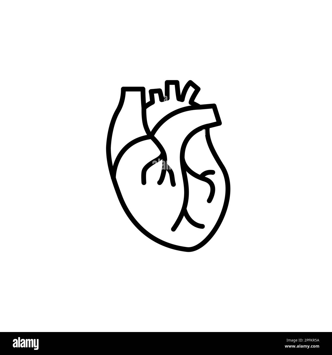 Le vecteur médical du cœur humain défacilite l'anatomie cardiovasculaire des organes. Icône de ligne de forme d'organe cardiaque humain sain. Illustration de Vecteur