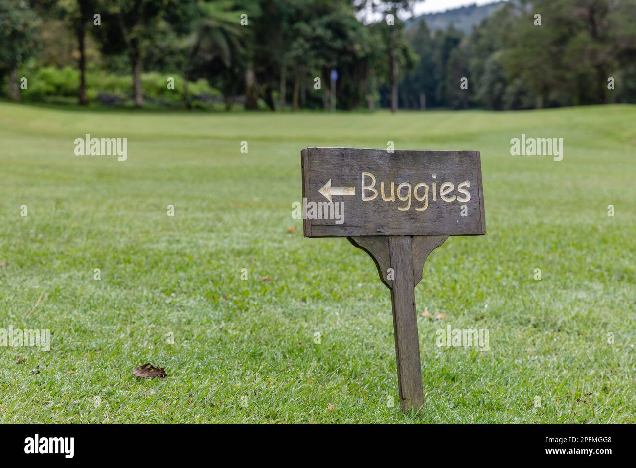 Panneau de stationnement pour voiturette dans un complexe de golf, Bedugul, Gianyar, Bali, Indonésie. Banque D'Images