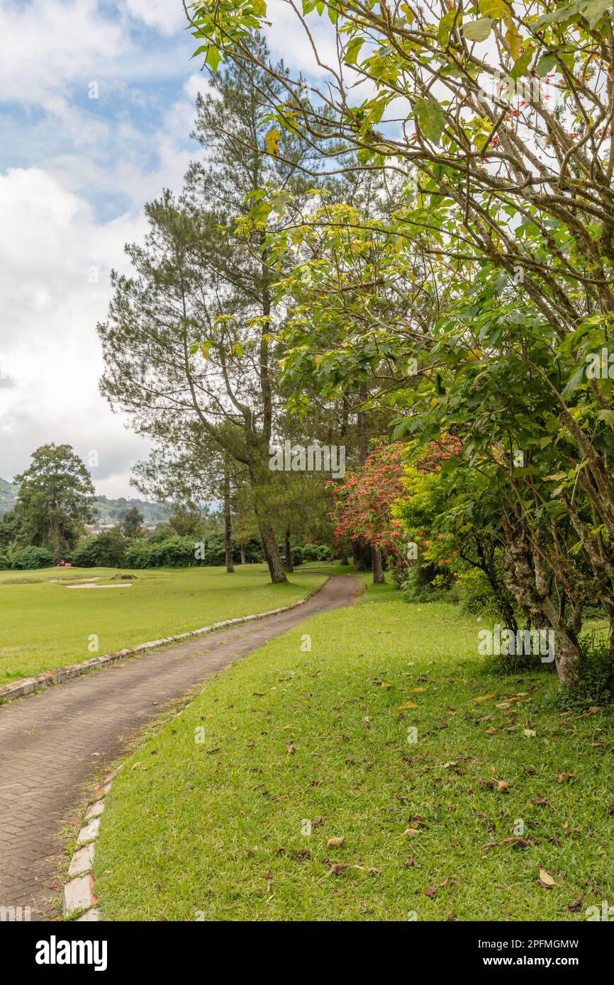 Paysage vert de Hamara, Bedugul, Gianyar, Bali, Indonésie. Banque D'Images