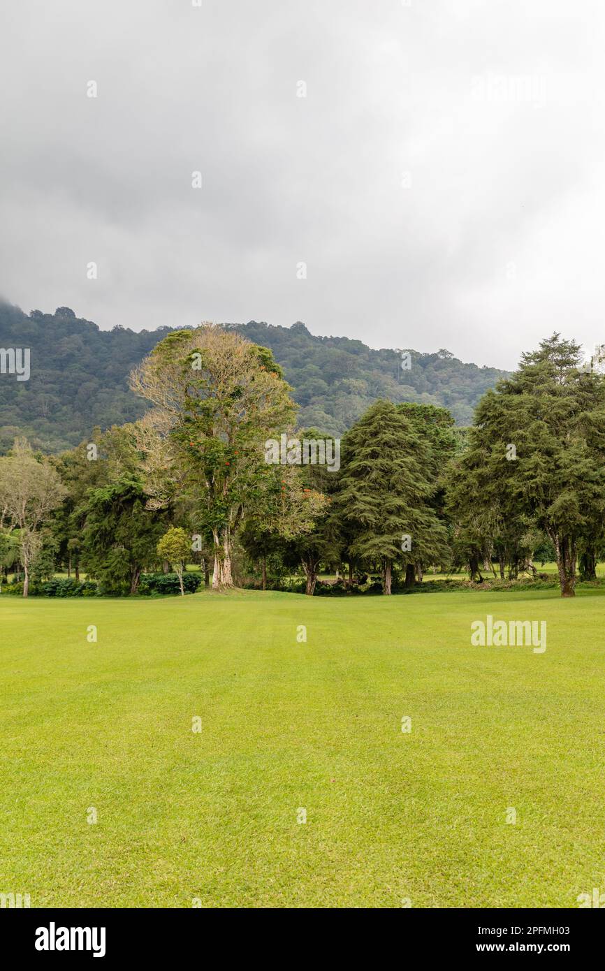 Paysage vert de Hamara, Bedugul, Gianyar, Bali, Indonésie. Banque D'Images