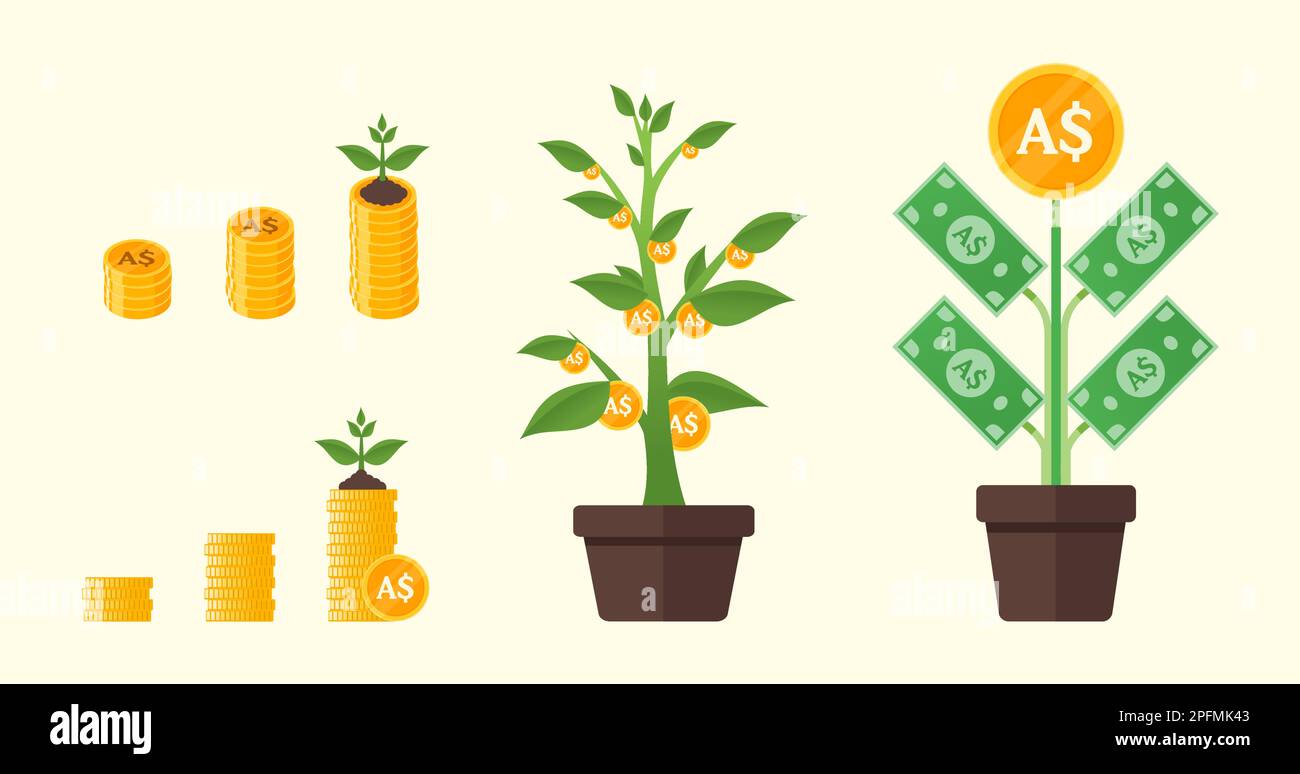 Le Dollar Money Tree australien en pleine croissance Illustration de Vecteur