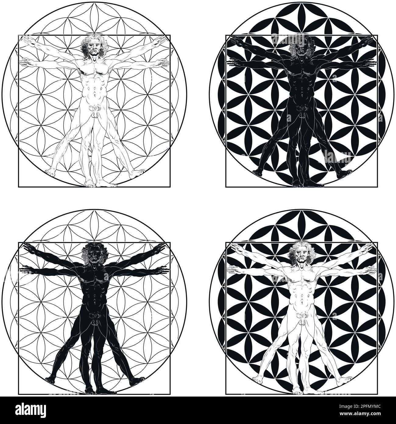 Dessin vectoriel de l'Homme de Vitruvian par Leonardo da Vinci avec fleur de fond de vie Illustration de Vecteur