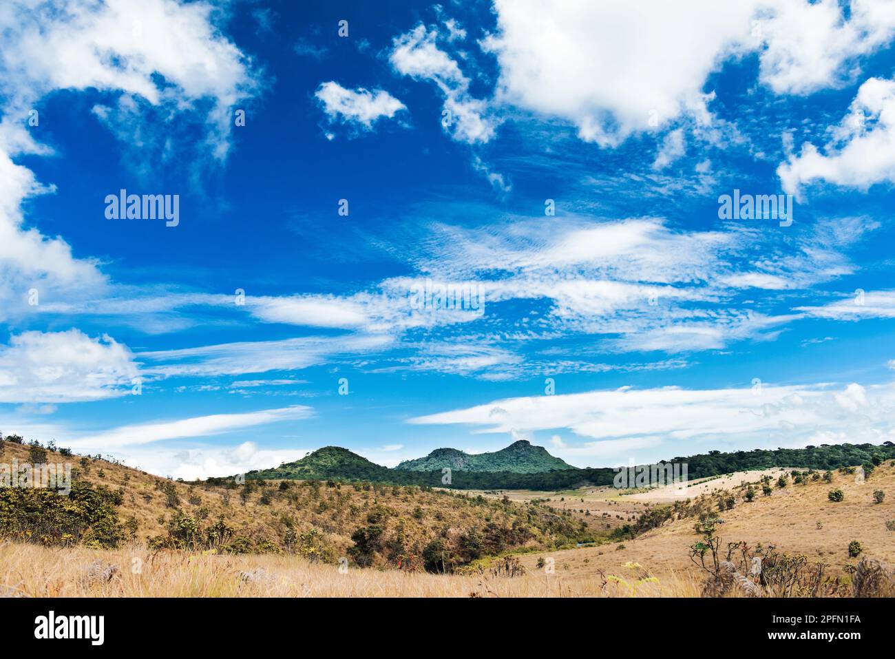 Un paysage de montagne à Horton Plains, Sri Lanka Banque D'Images