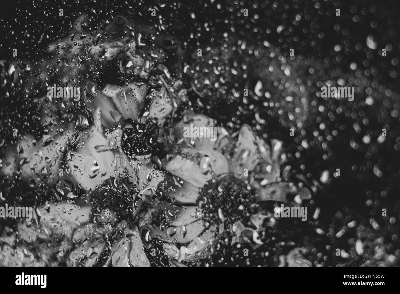 un bouquet de fleurs sauvages bleues et jaunes séchées derrière le verre humide comme fond, fleurs derrière le verre, fond floral Banque D'Images