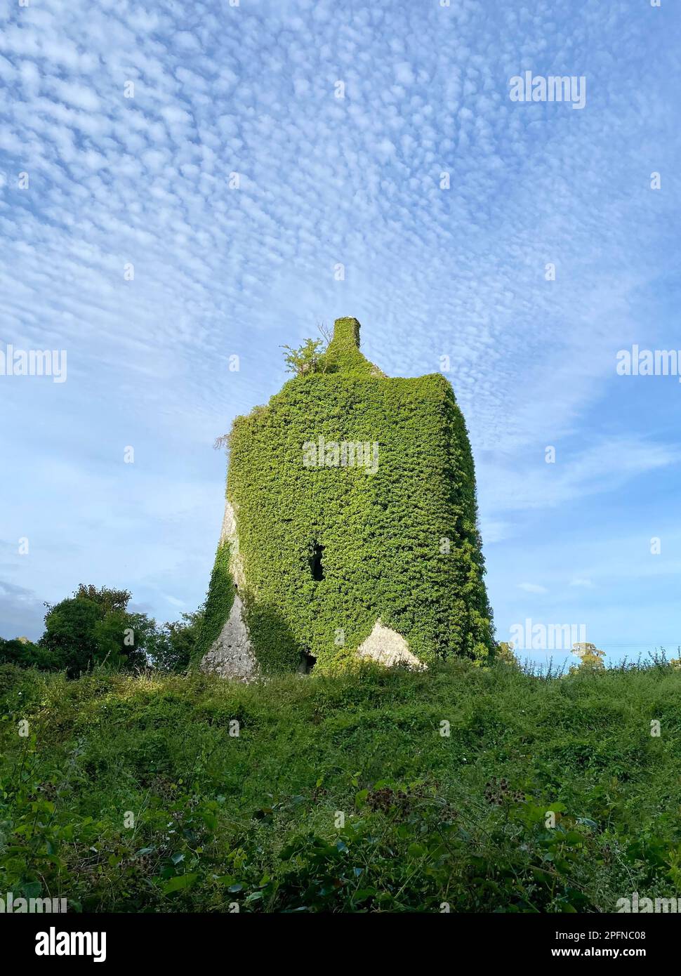 Le Castle Hackett est une tour de 13th siècles au pied de Knockma Hill, au sud-ouest de Tuam, dans le comté de Galway, en Irlande. Banque D'Images
