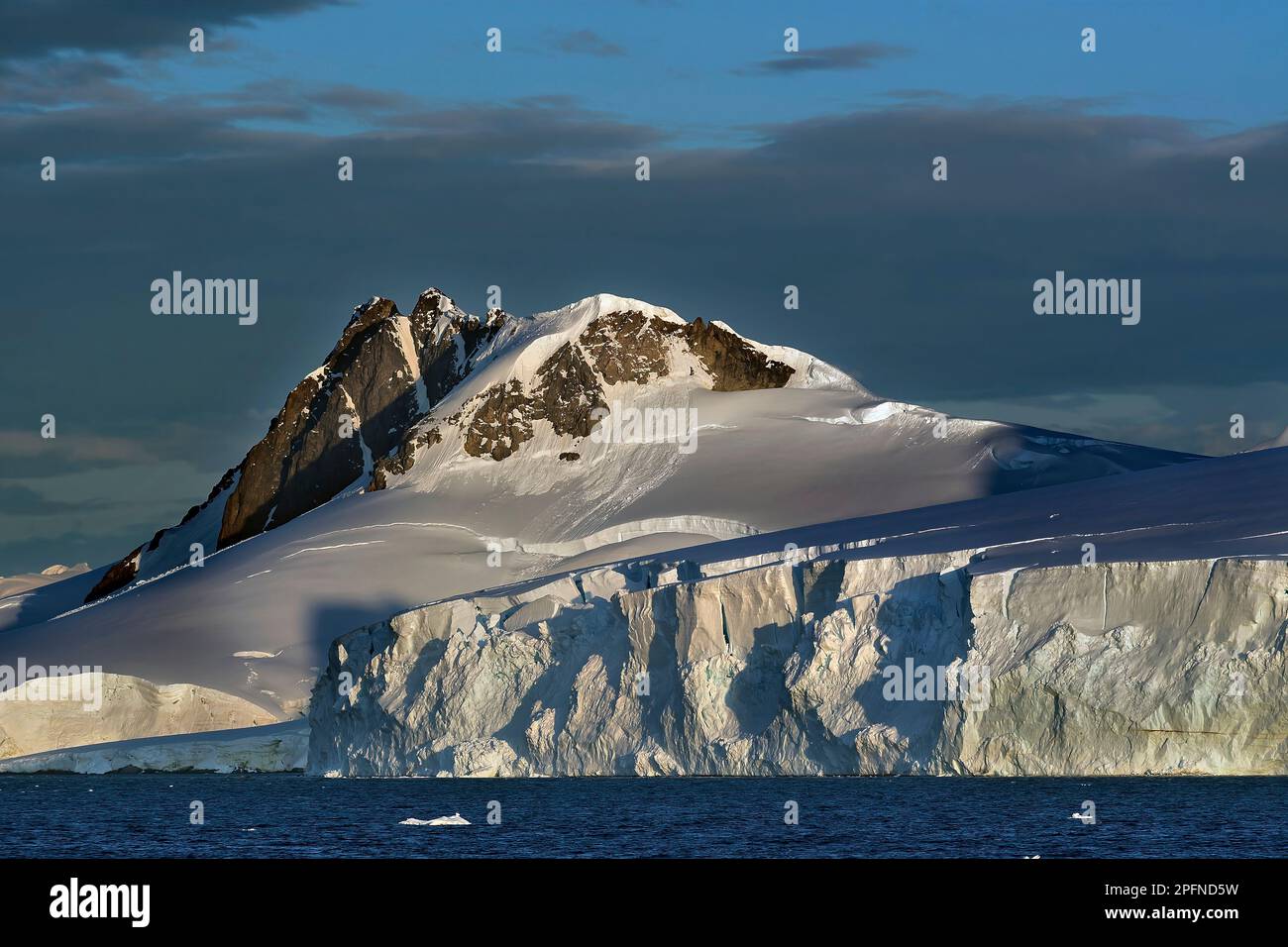 Péninsule Antarctique. L'île de Danco Banque D'Images