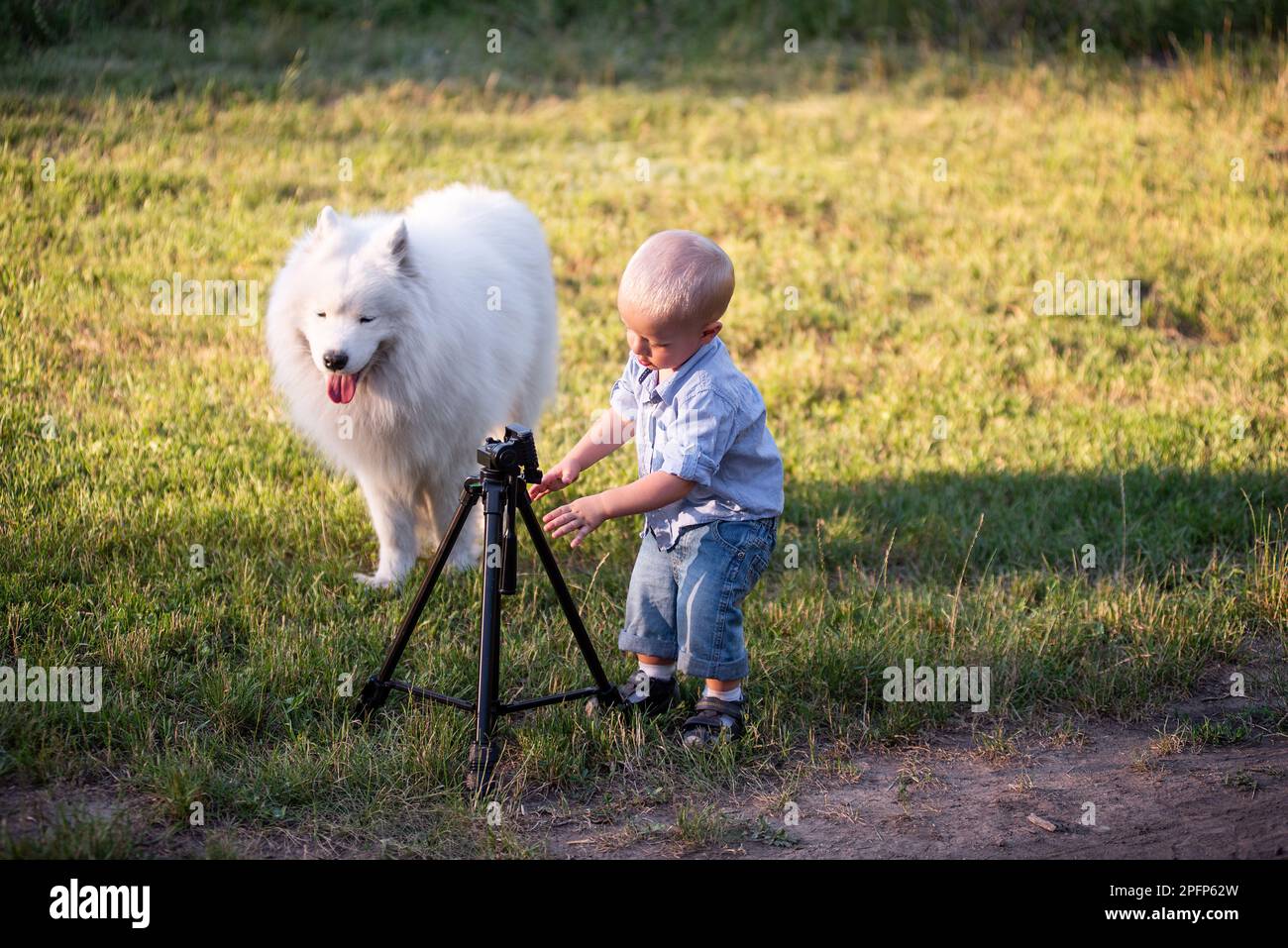 Un petit garçon avec Samoyed qui se déjoue, jouant avec un trépied pour appareil photo sur un pré vert dans le parc. Future profession de photographe. Hobbies for childr Banque D'Images