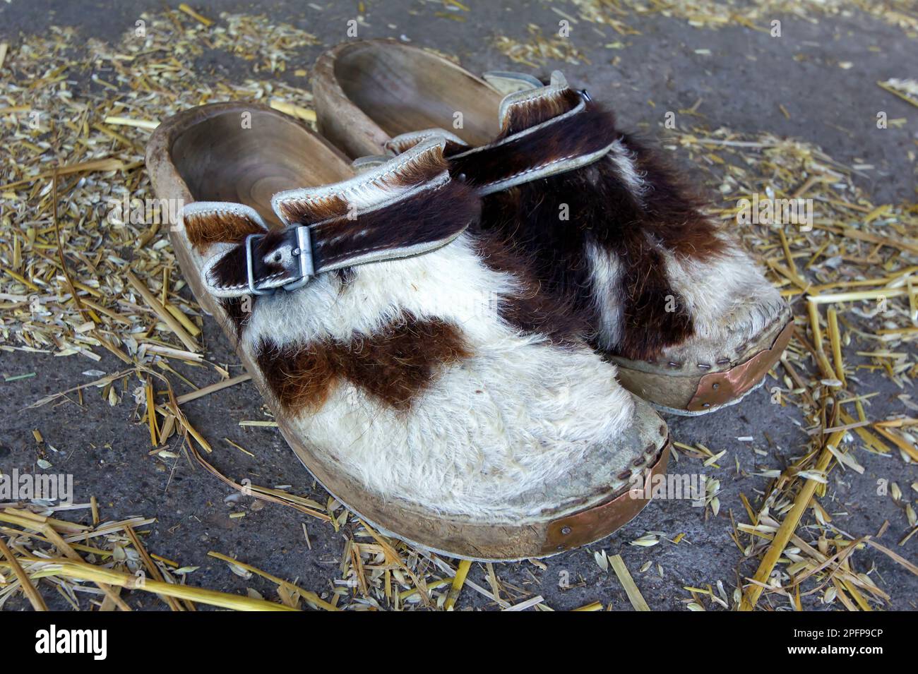 Chaussures de fourrure de vache en bois uniques d'un agriculteur allemand sur un sol recouvert de paille Banque D'Images