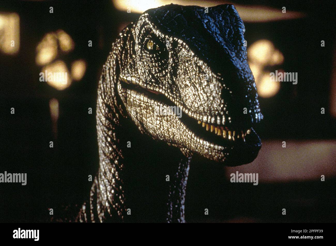 Parc Jurassic 1993. velociraptor Banque D'Images