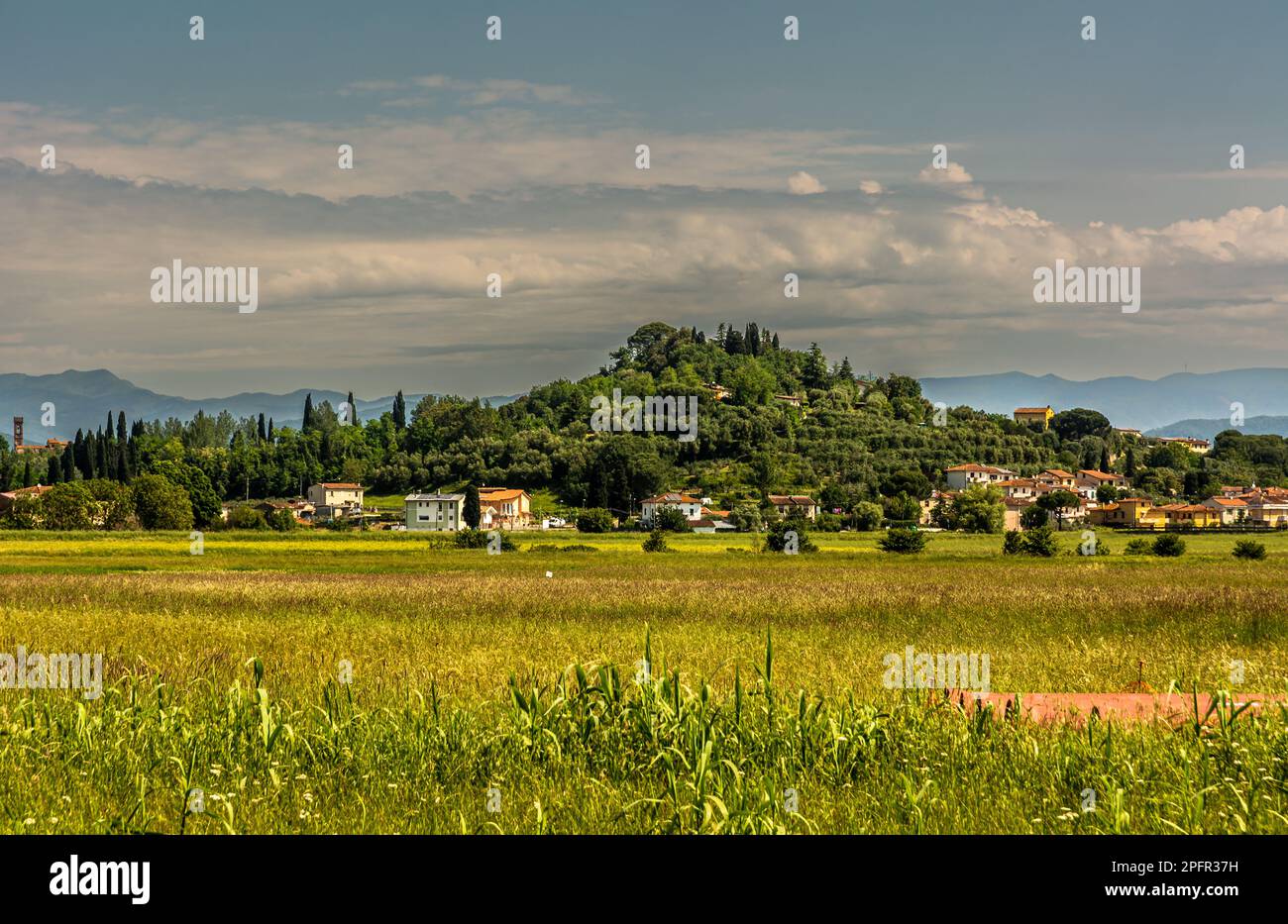 Paysage rural près de Fucecchio, province de Florence le long de la via Francigena de Lucca à Sienne, Toscane, Italie Banque D'Images Paysage rural près de Fucecchio, province de Florence le long de la via Francigena de Lucca à Sienne, Toscane, Italie Banque D'Images