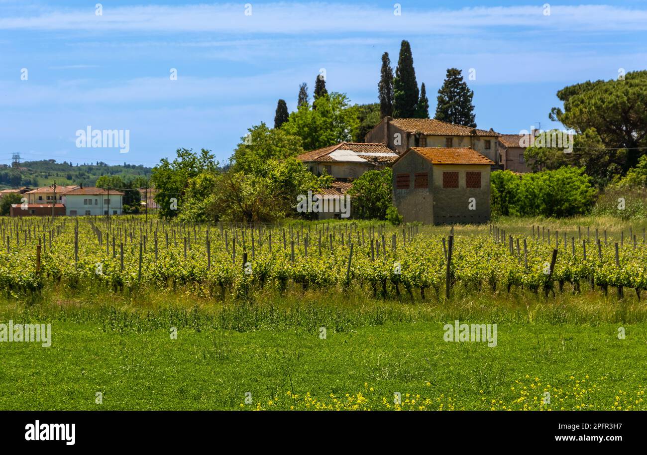 Paysage rural près de Fucecchio, province de Florence le long de la via Francigena de Lucca à Sienne, Toscane, Italie Banque D'Images