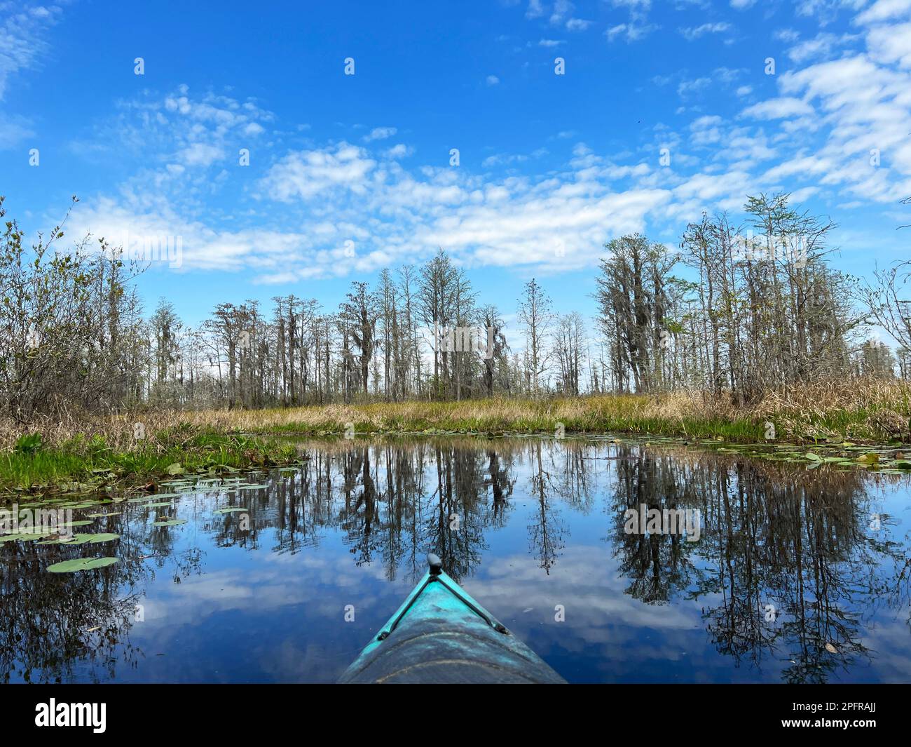 Un kayakiste admire le paysage apaisant de la réserve naturelle nationale d'Okefenokee, le plus grand marais d'Amérique du Nord. Banque D'Images