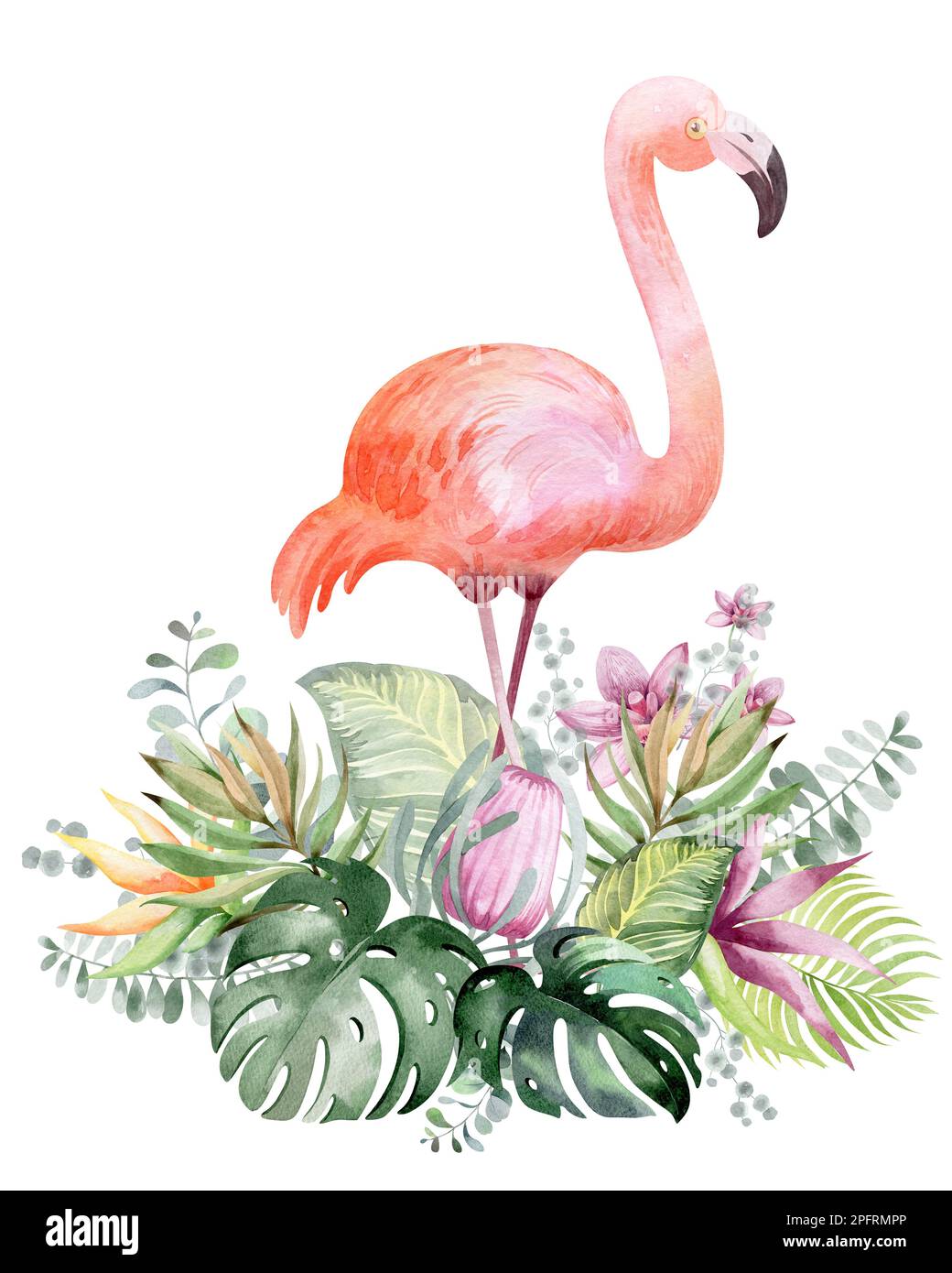 Cadre floral aquarelle. Cadre à partir de fleurs tropicales et de feuilles avec des oiseaux flammants. Plantes d'Australie et d'Afrique. Pour la conception de cartes de vacances, Banque D'Images