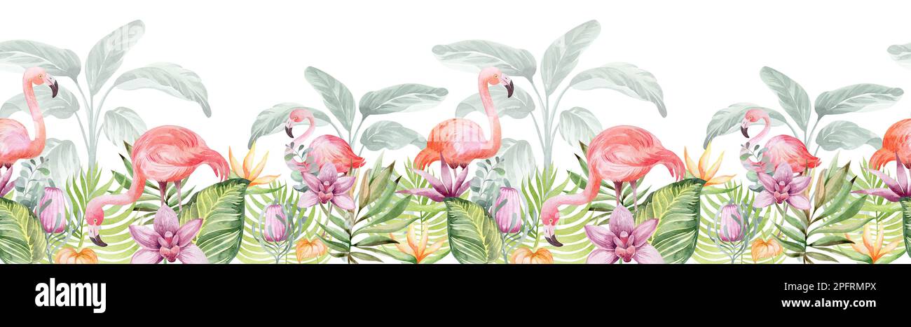 Bordure fleurie sans couture aquarelle. Australie fleurs tropicales et plantes avec des oiseaux flammants. Décoration, cartes postales, sublimation. Banque D'Images