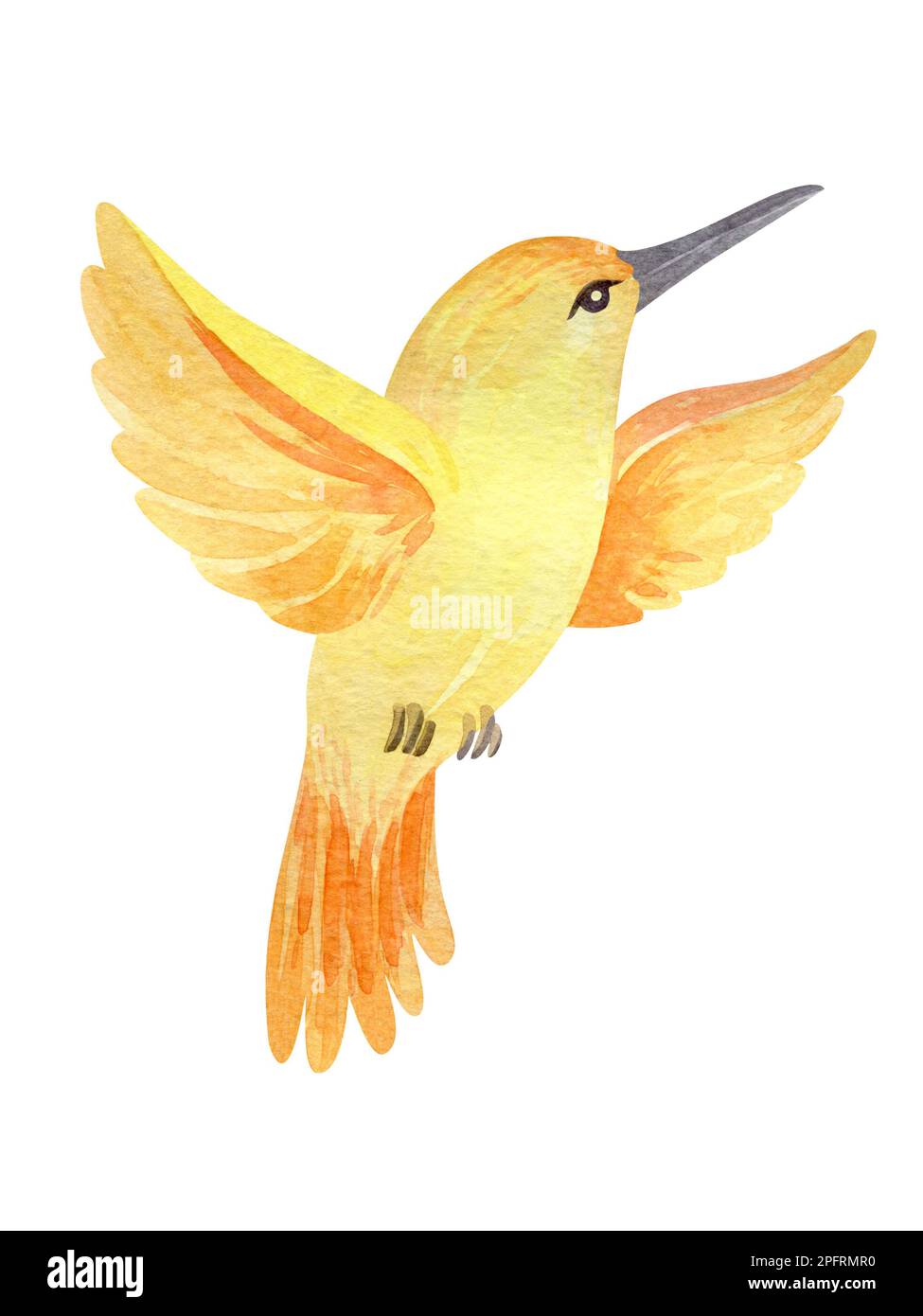 Cadre floral aquarelle. Cadre à partir de fleurs tropicales et de feuilles avec des oiseaux flammants. Plantes d'Australie et d'Afrique. Pour la conception de cartes de vacances, Banque D'Images